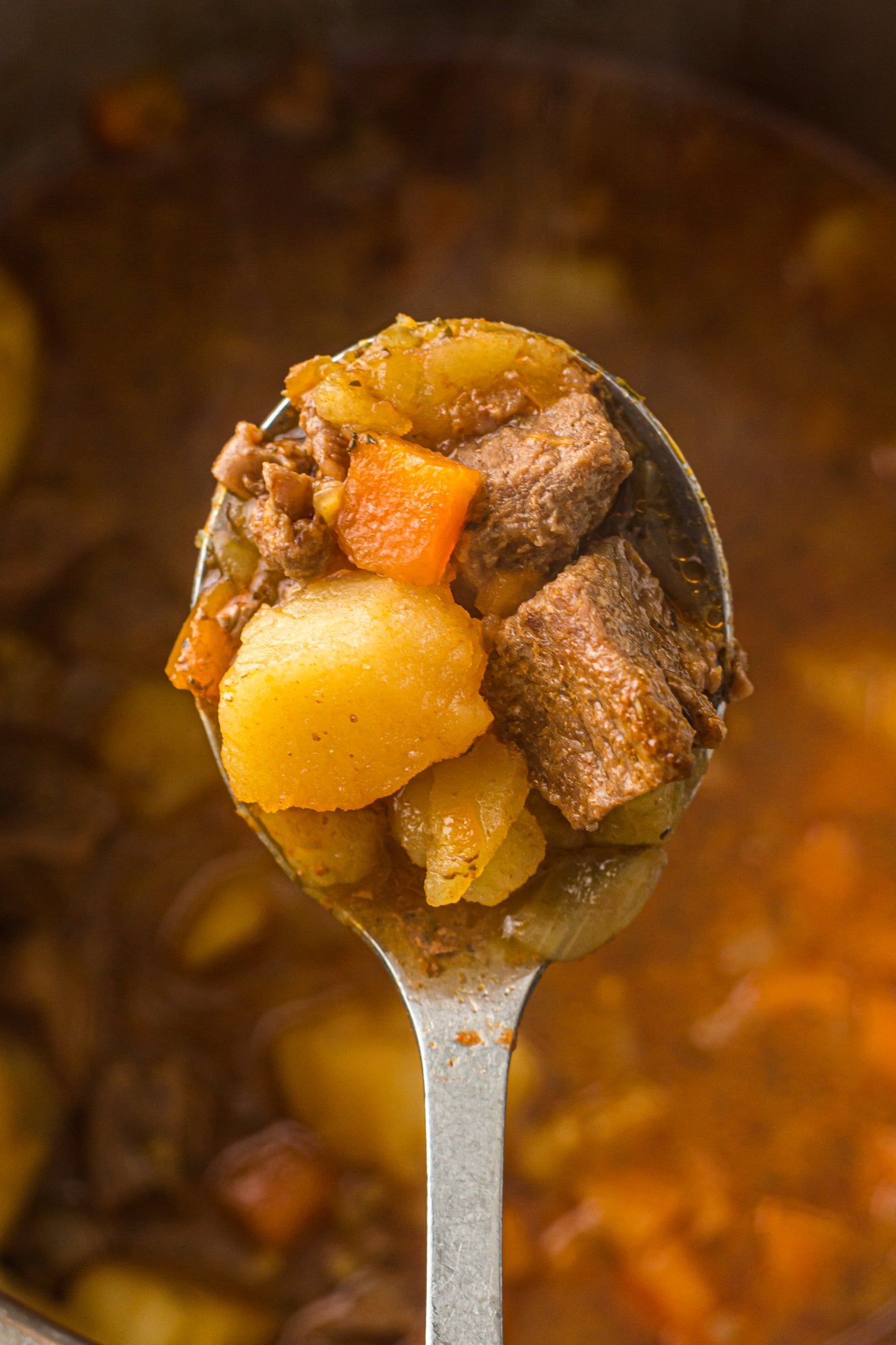 PLR Instant Pot Beef Stew