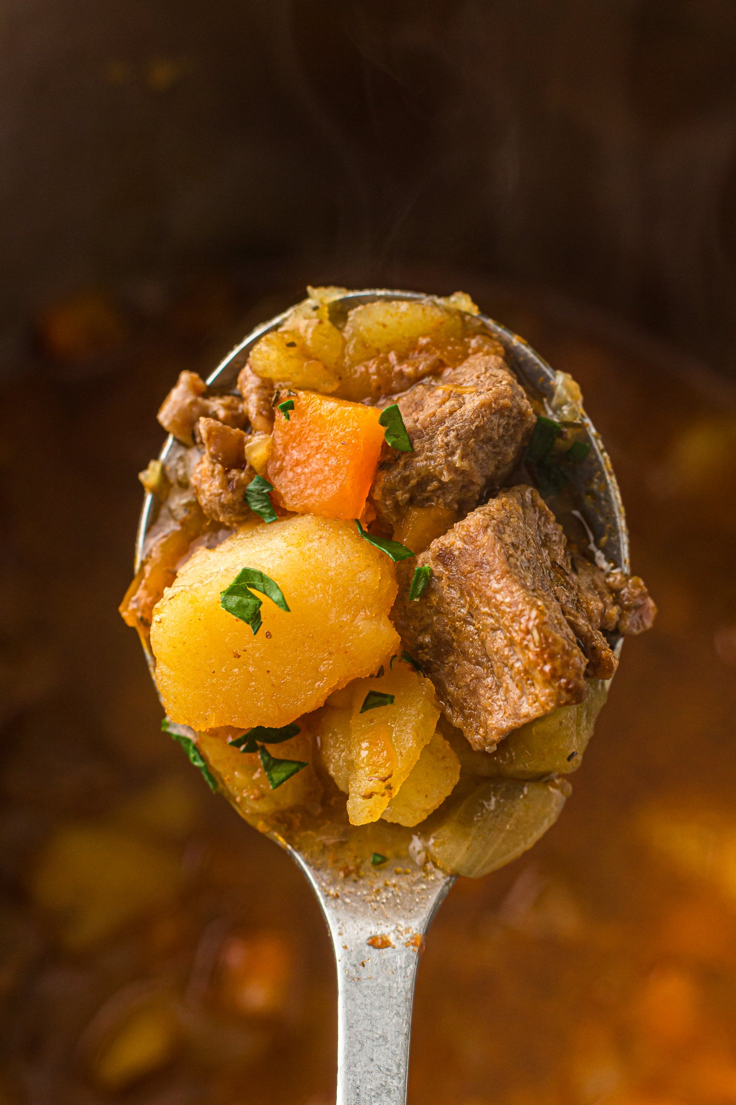 PLR Instant Pot Beef Stew