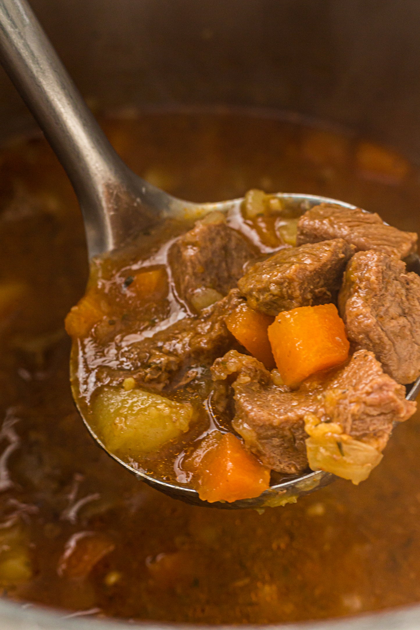 PLR Instant Pot Beef Stew