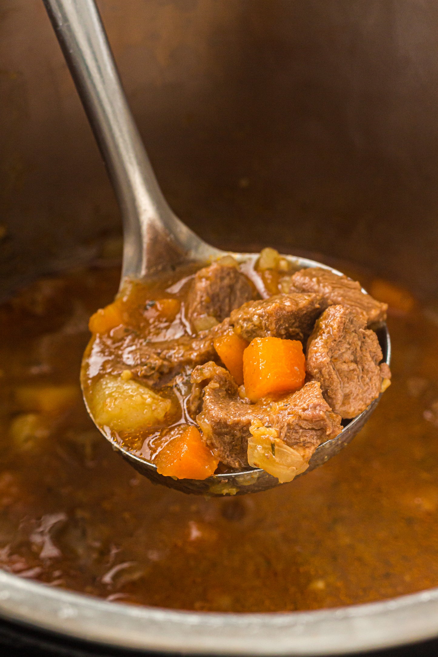 PLR Instant Pot Beef Stew