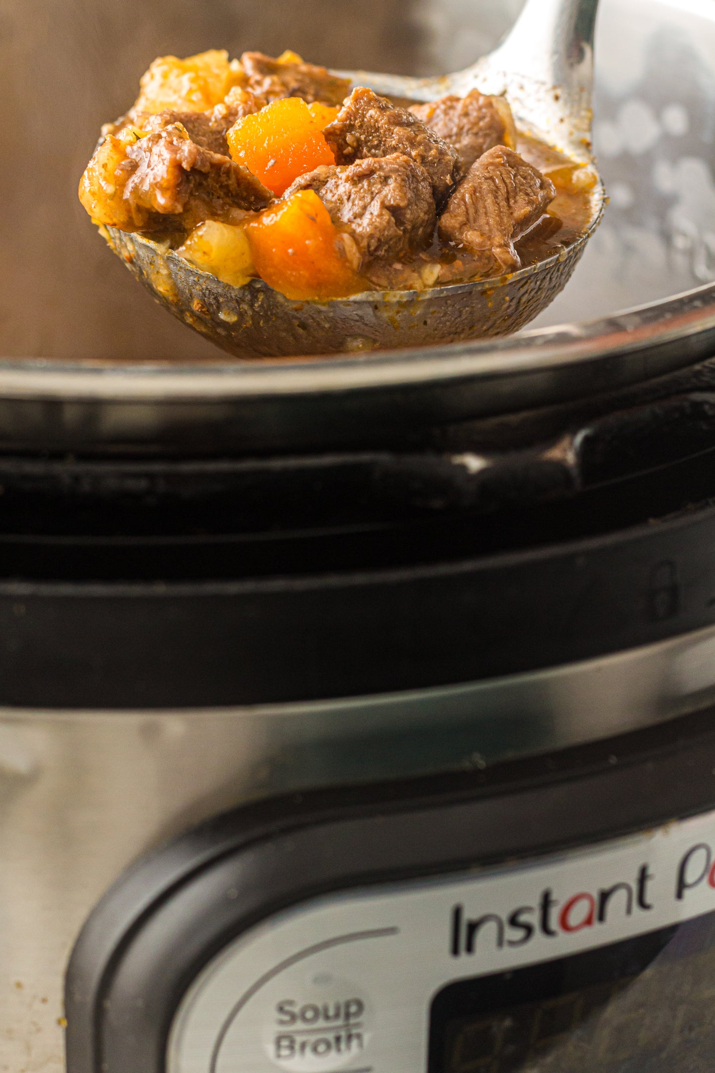 PLR Instant Pot Beef Stew
