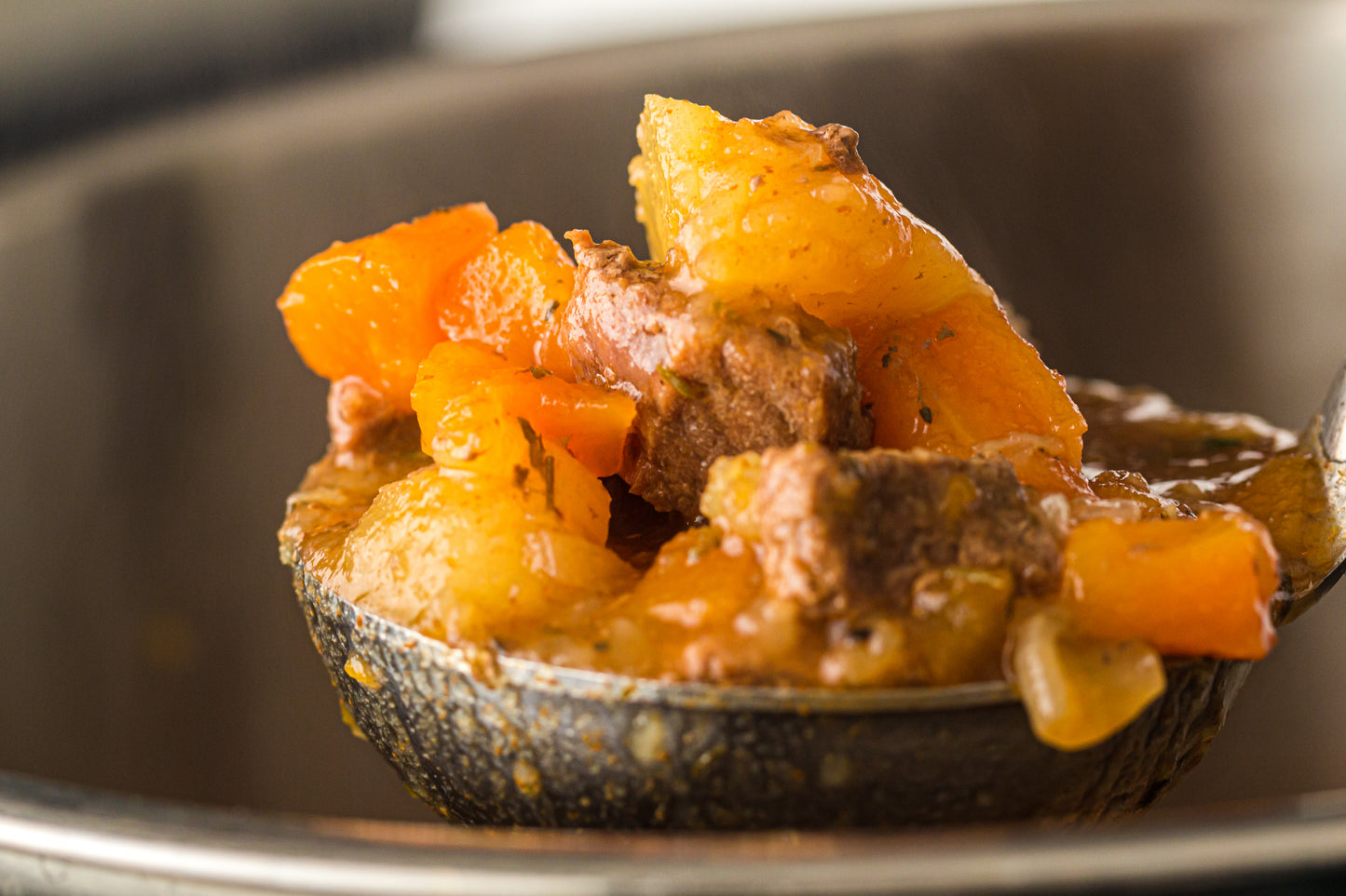 PLR Instant Pot Beef Stew