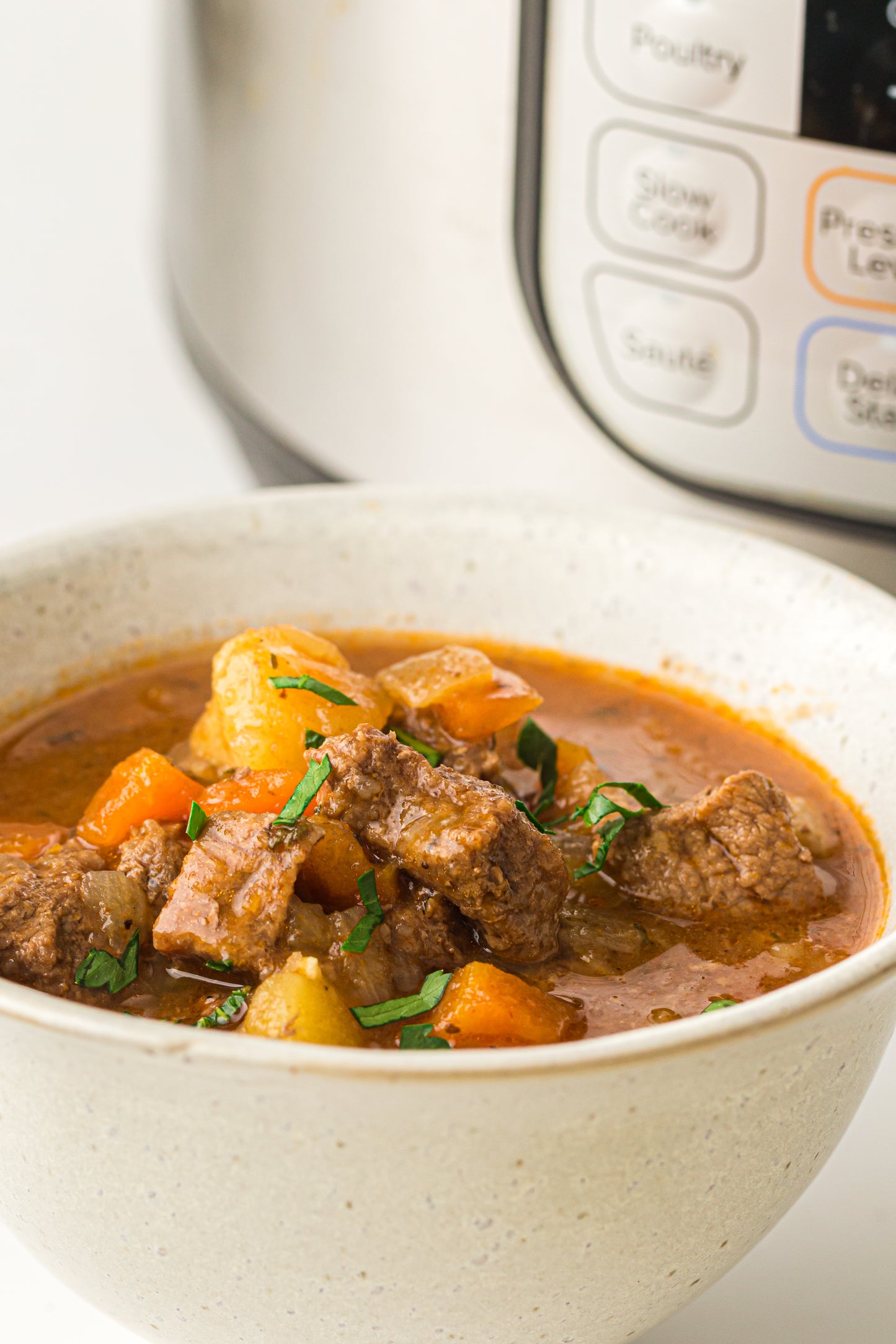 PLR Instant Pot Beef Stew
