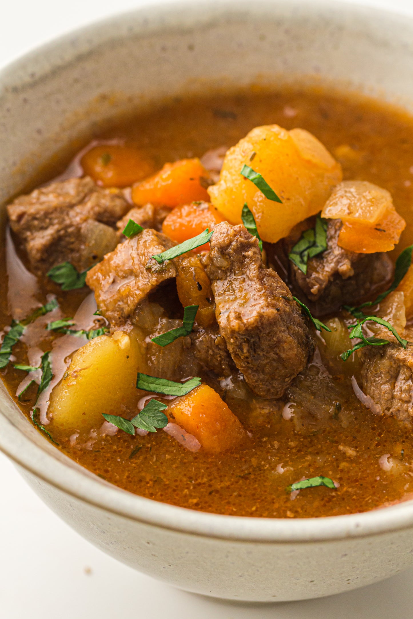 PLR Instant Pot Beef Stew