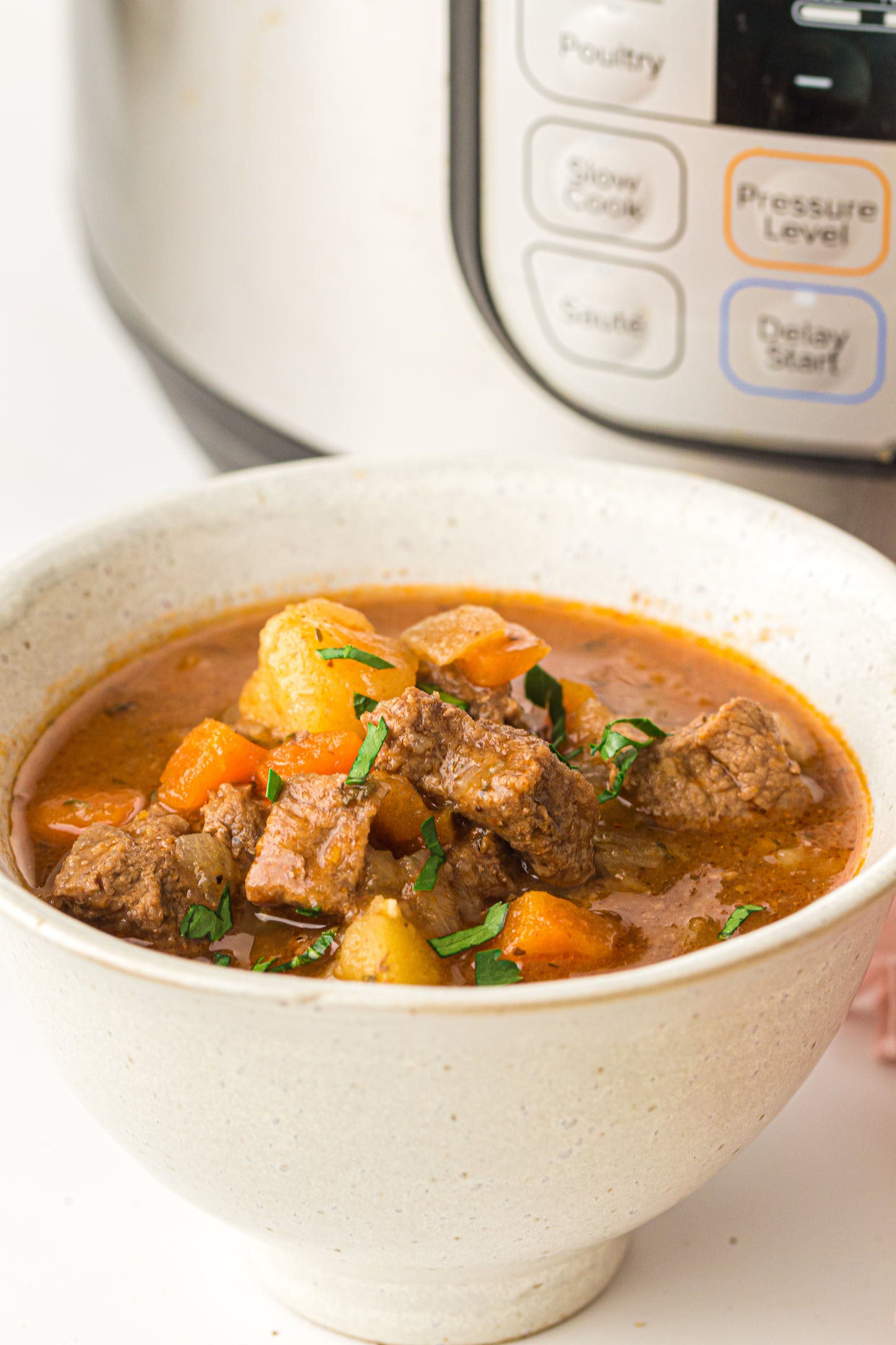 PLR Instant Pot Beef Stew