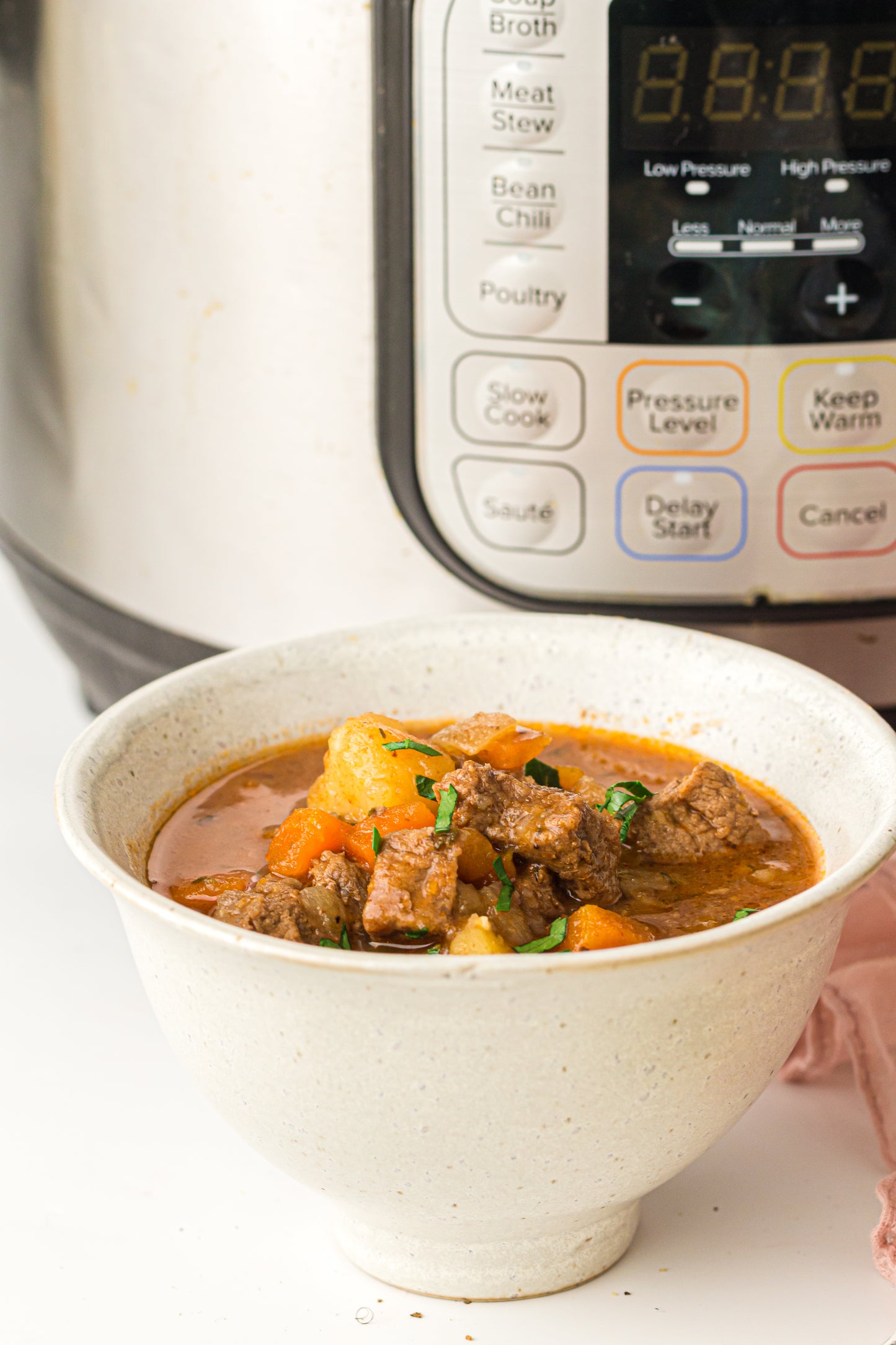 PLR Instant Pot Beef Stew
