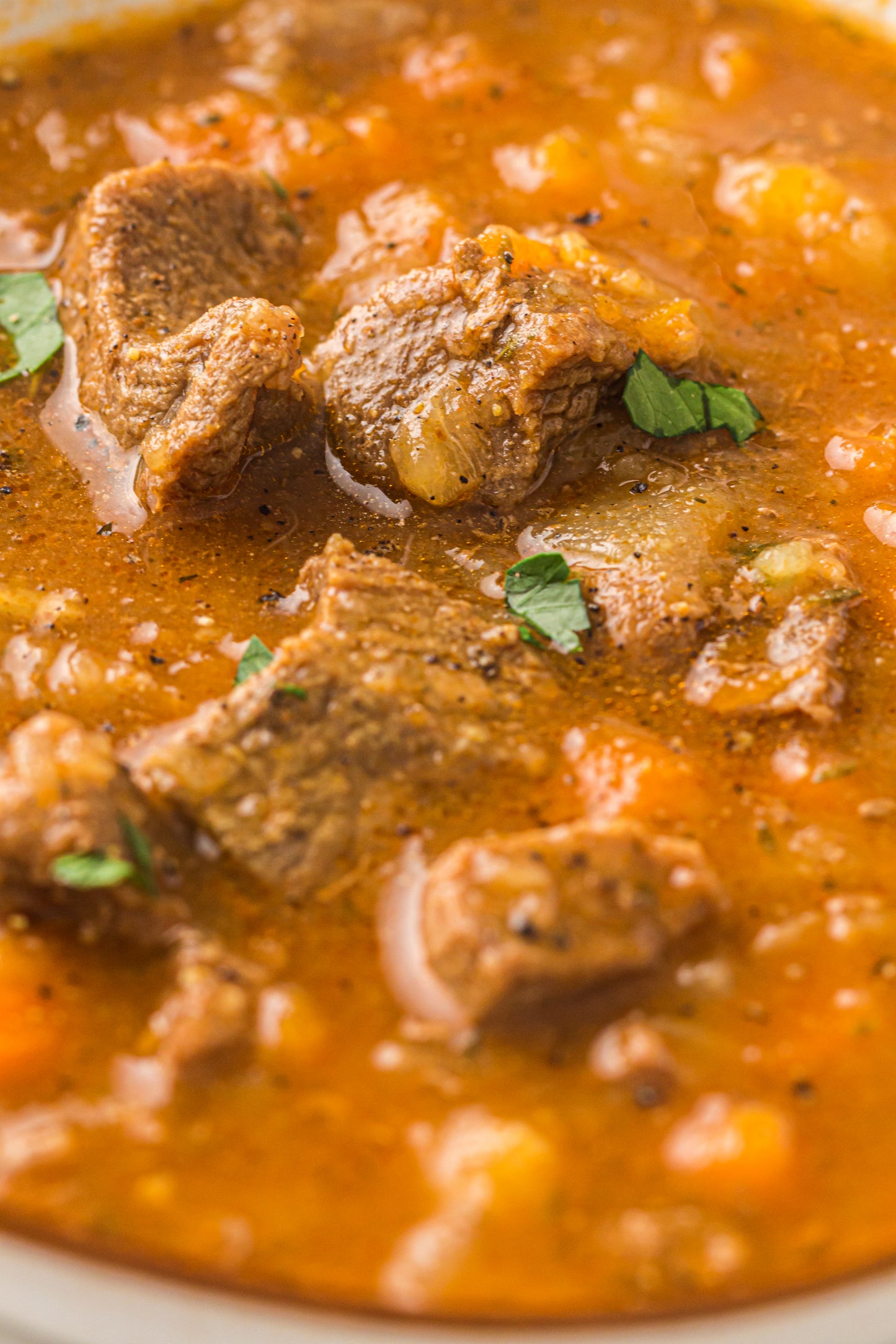 PLR Instant Pot Beef Stew