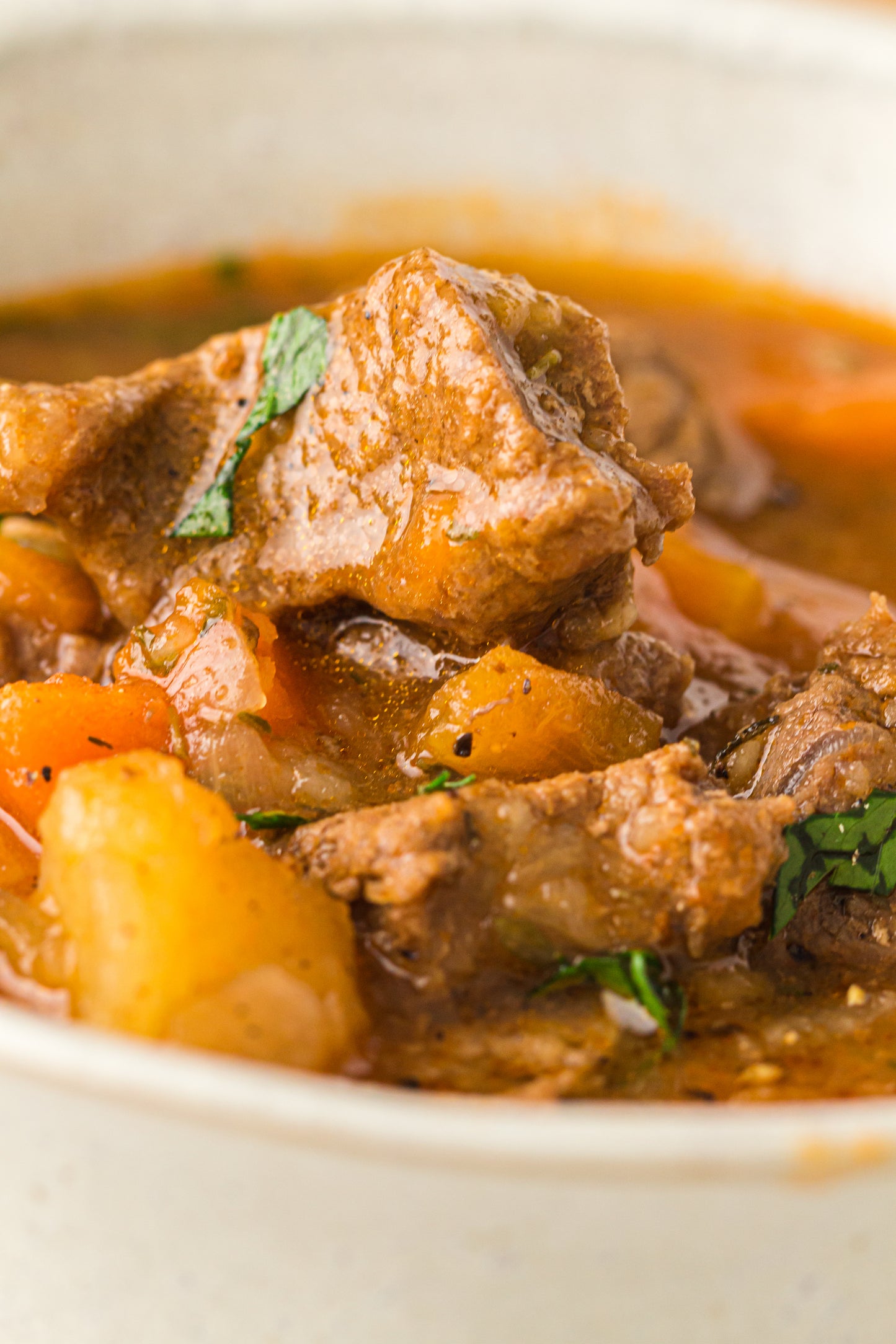 PLR Instant Pot Beef Stew