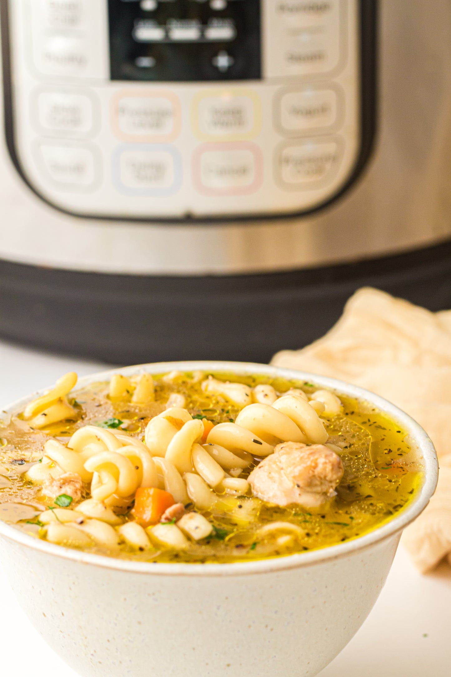 PLR Instant Pot Chicken Noodle Soup
