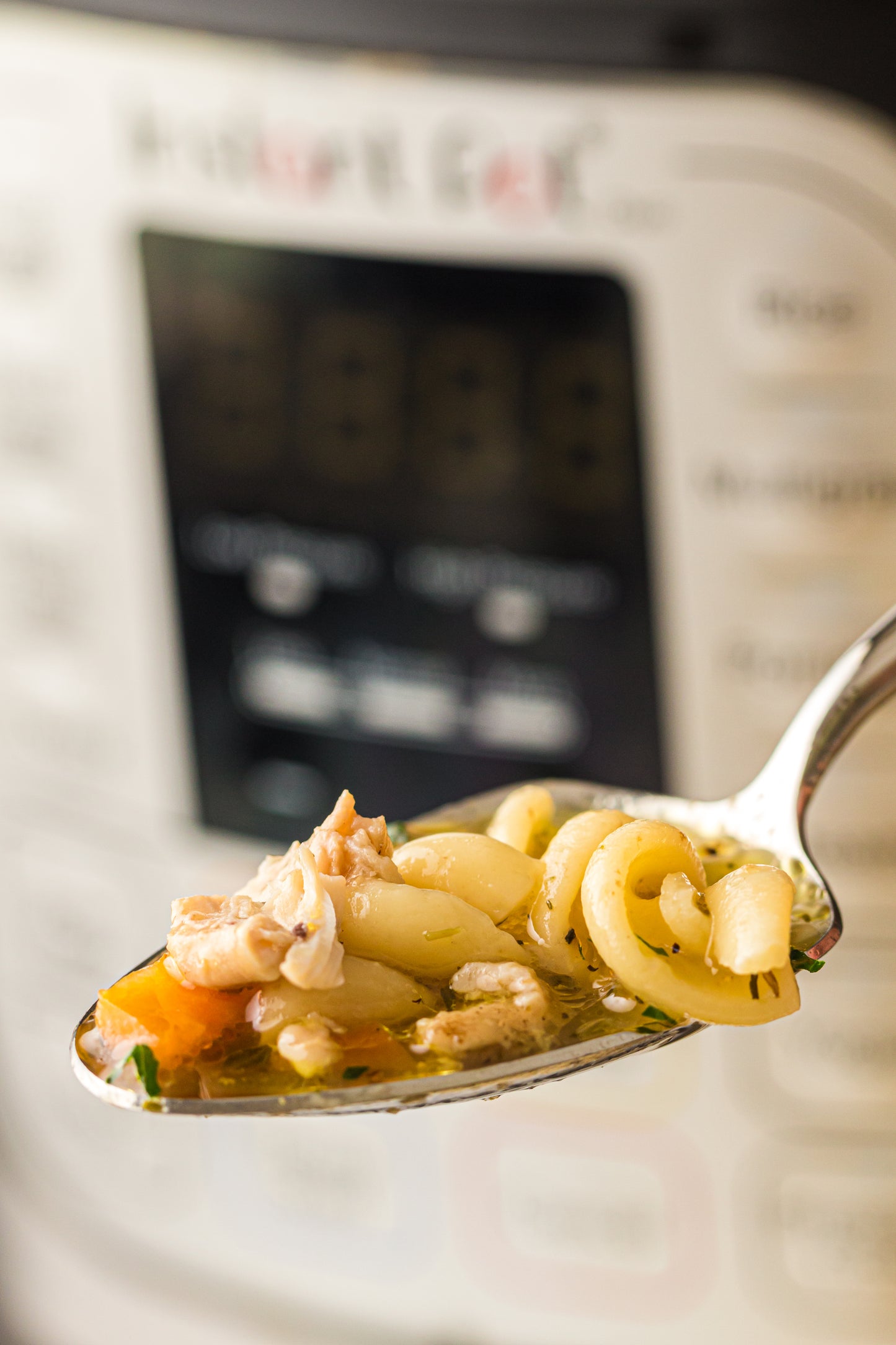 PLR Instant Pot Chicken Noodle Soup