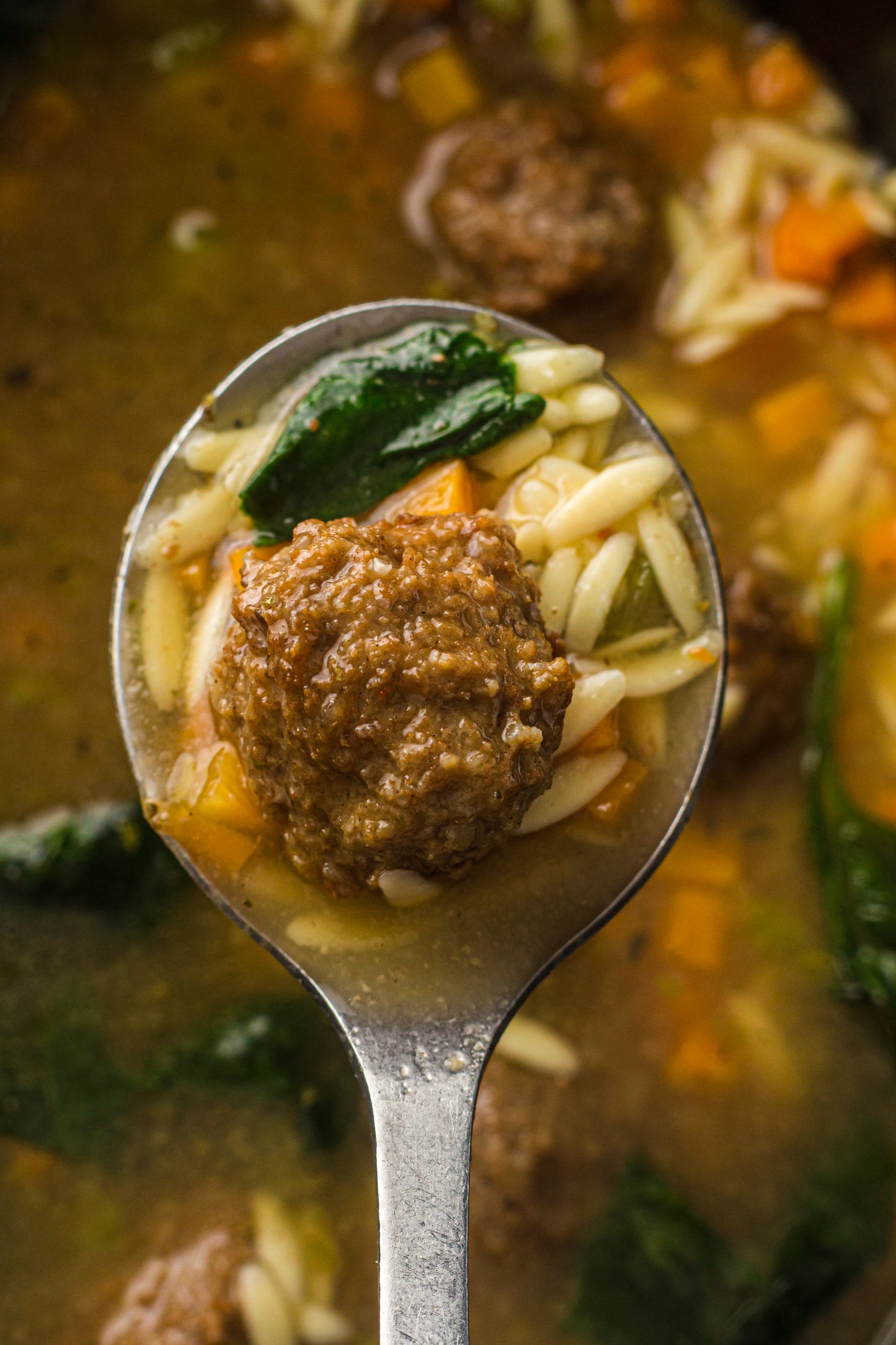 PLR Slow Cooker Italian Wedding Soup