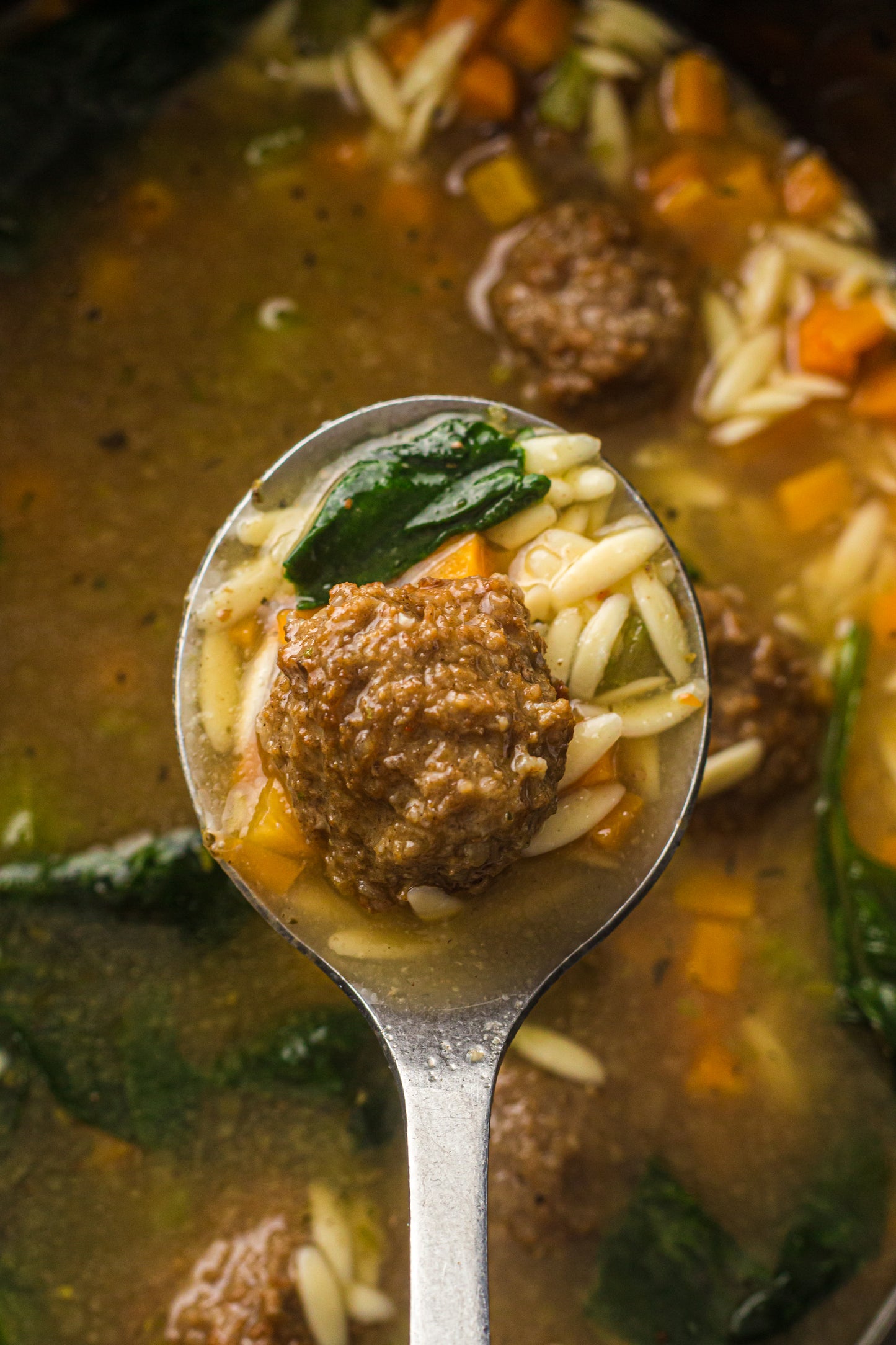 PLR Slow Cooker Italian Wedding Soup