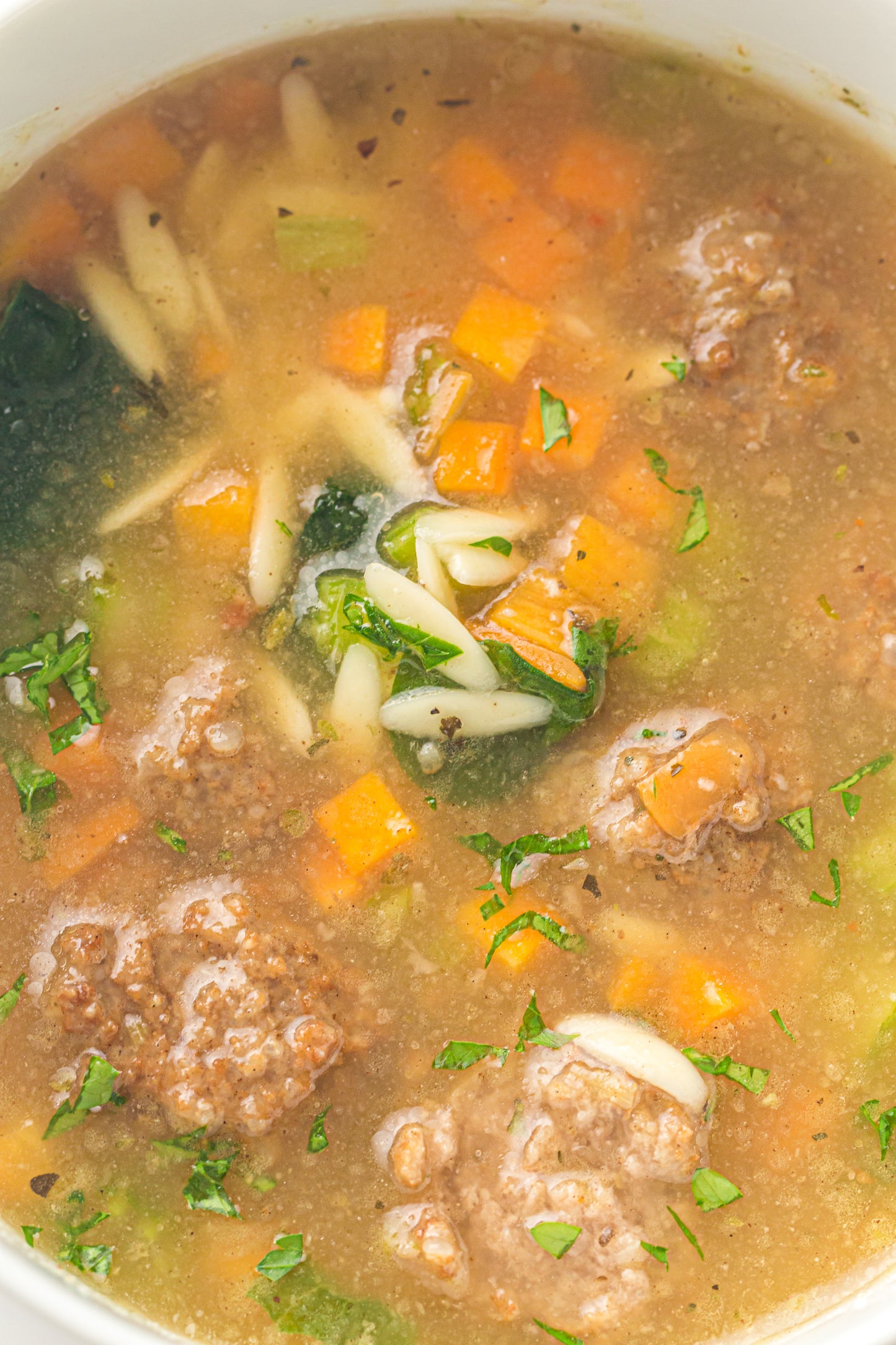 PLR Slow Cooker Italian Wedding Soup