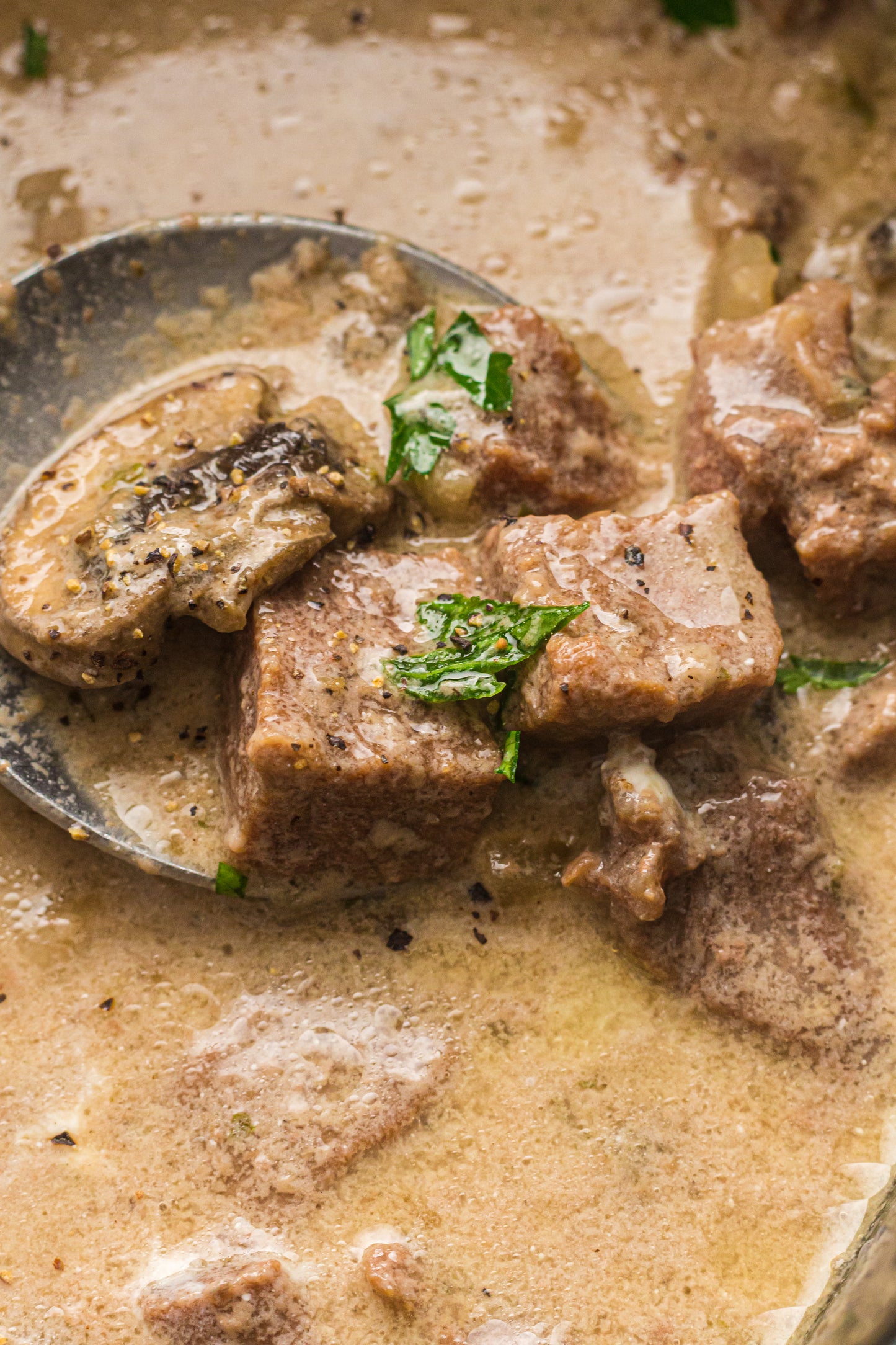 PLR Slow Cooker Beef Stroganoff