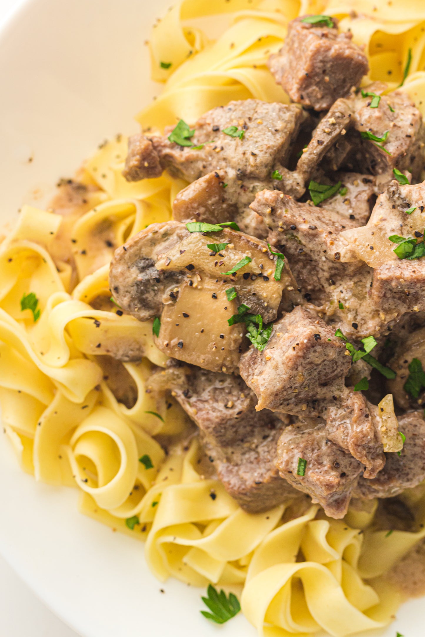 PLR Slow Cooker Beef Stroganoff