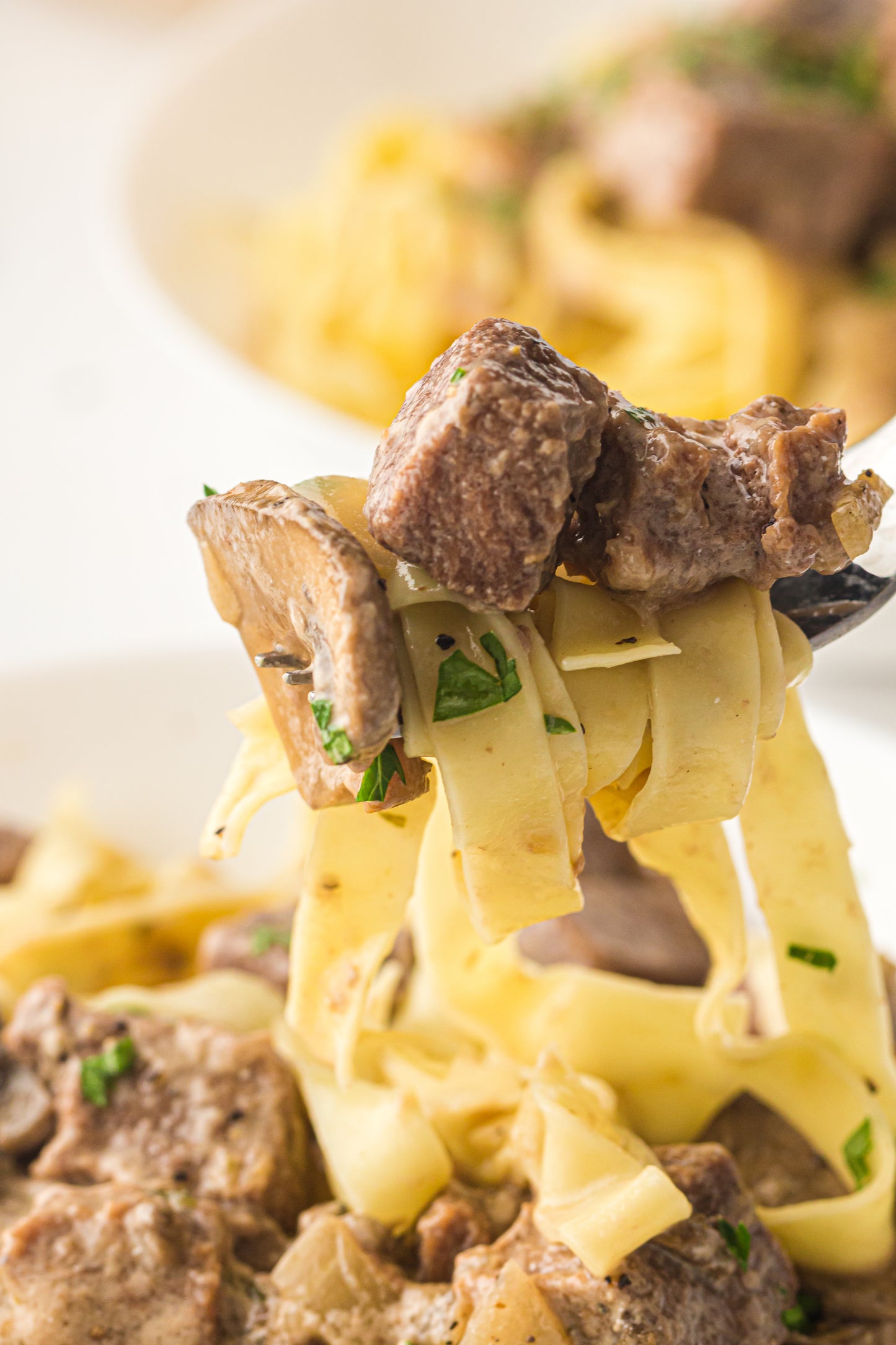 PLR Slow Cooker Beef Stroganoff