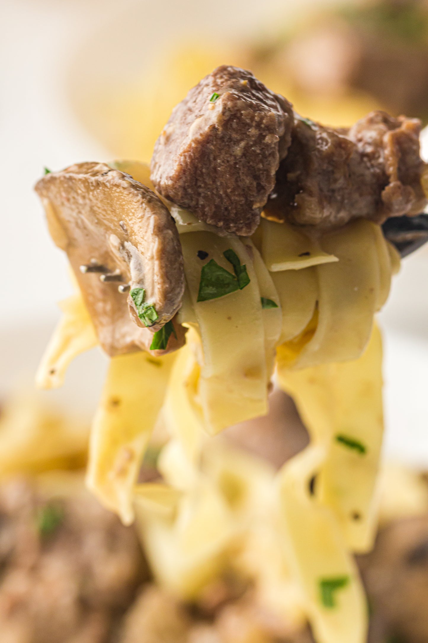 PLR Slow Cooker Beef Stroganoff