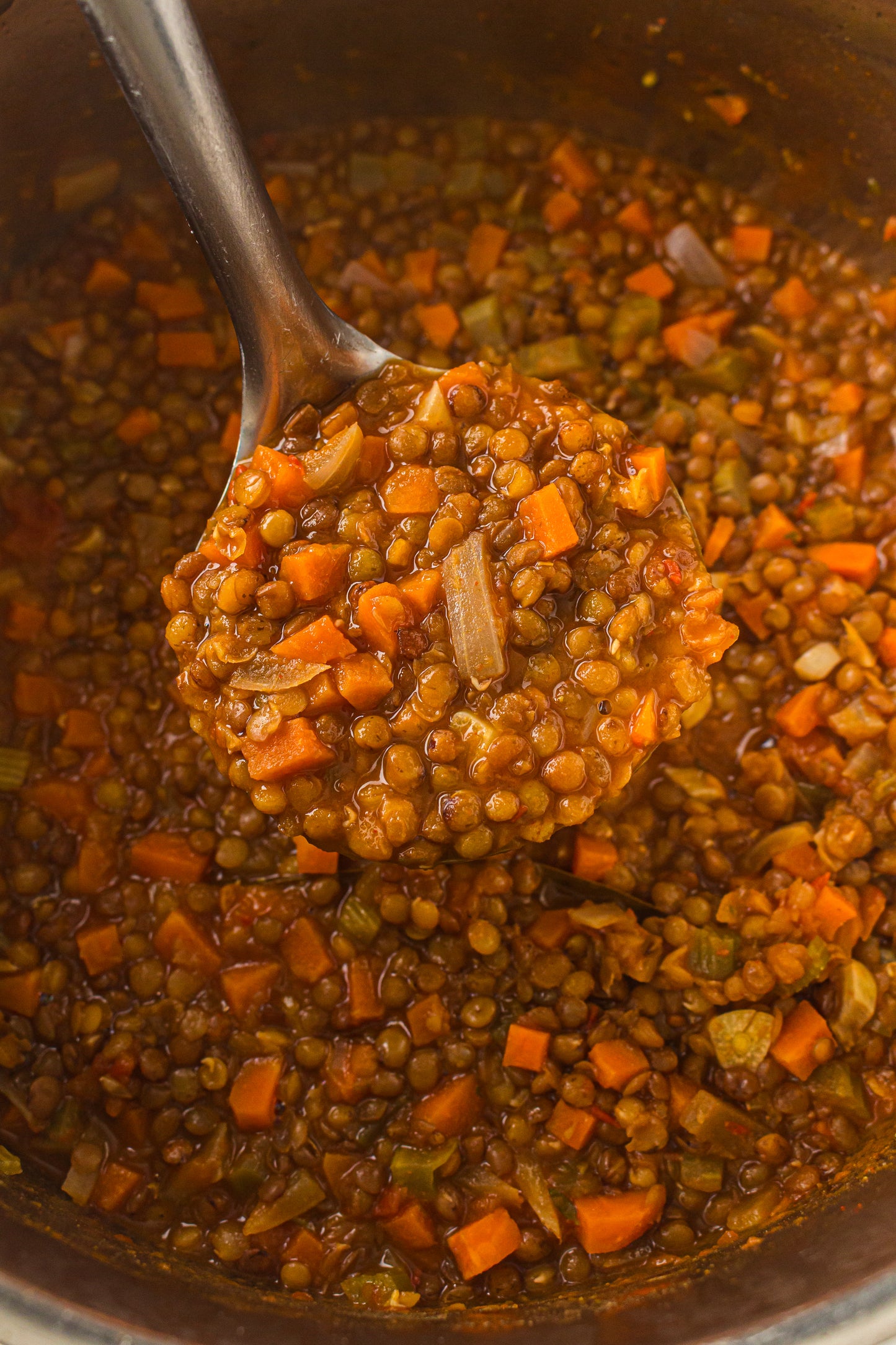 Lentil Soup – PLR Recipe