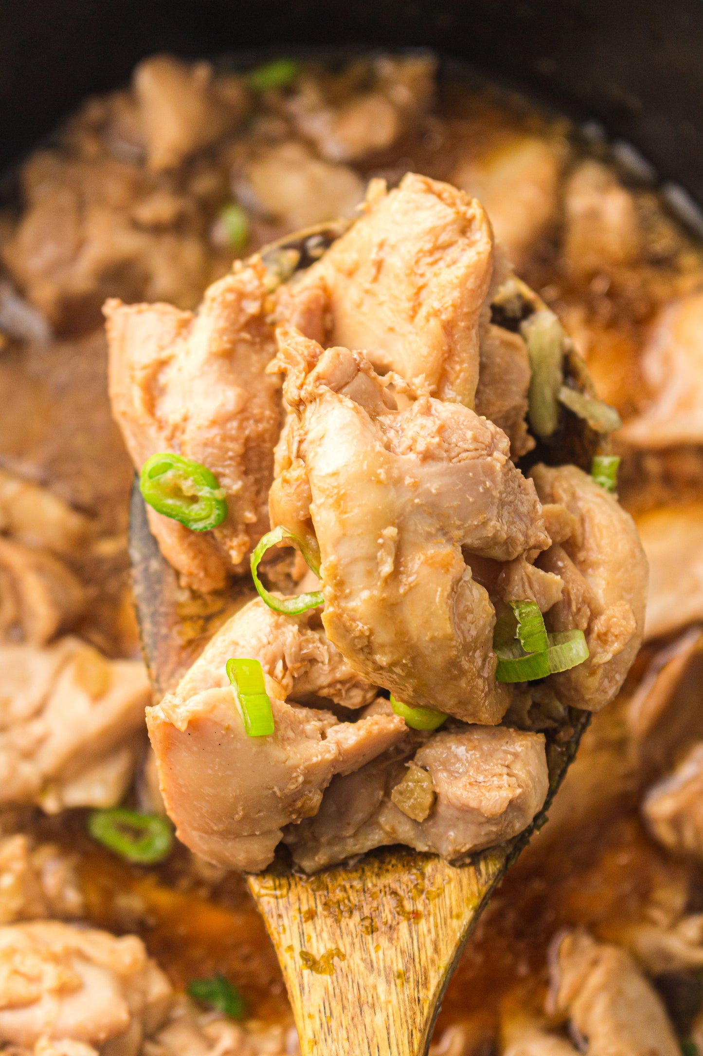 Slow Cooker Teriyaki Chicken Breast - PLR Recipe