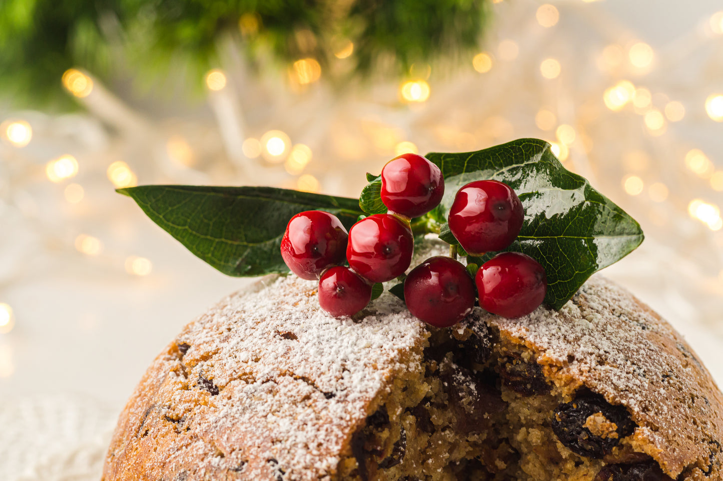 Instant Pot Figgy Pudding