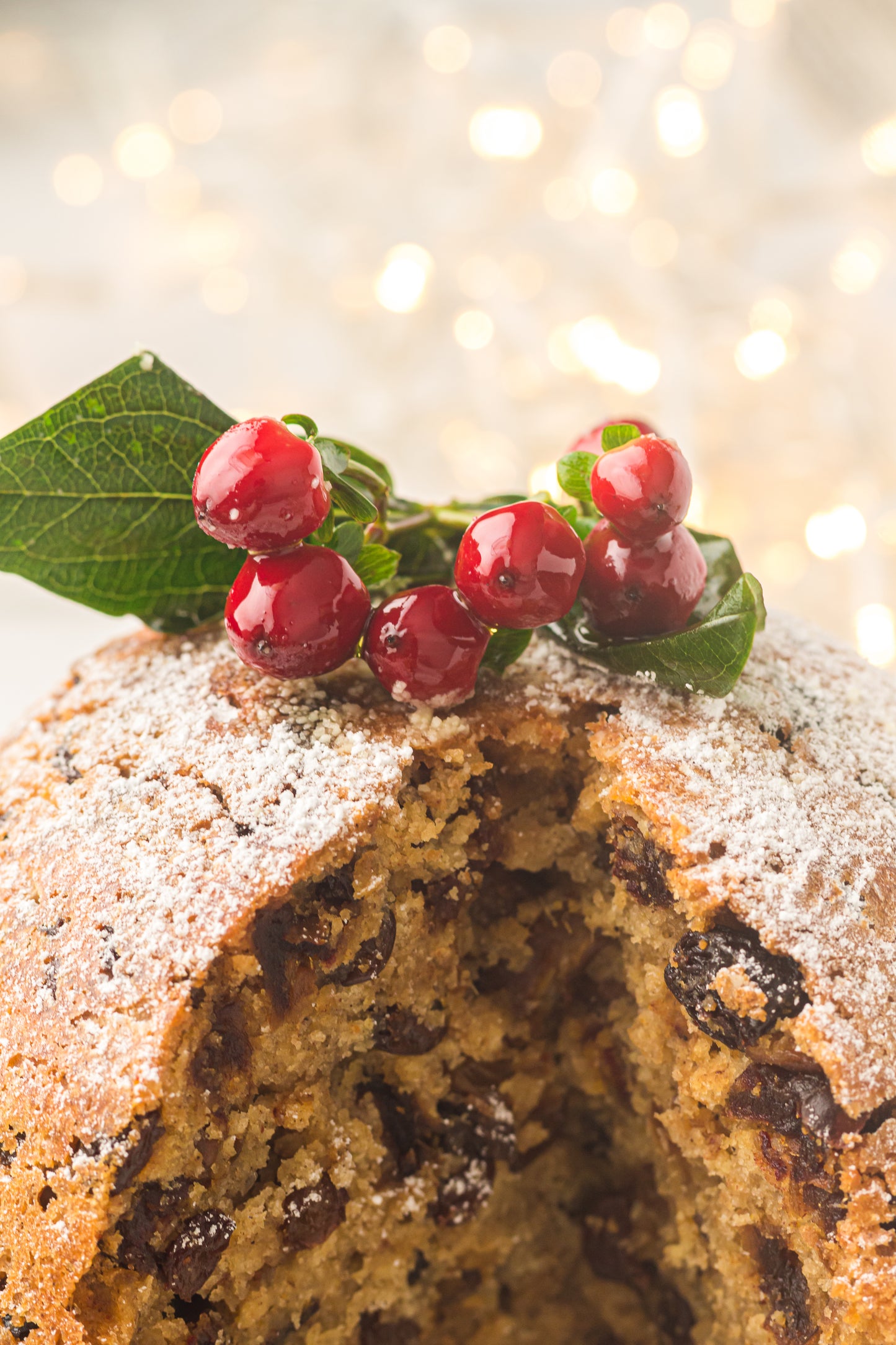 Instant Pot Figgy Pudding