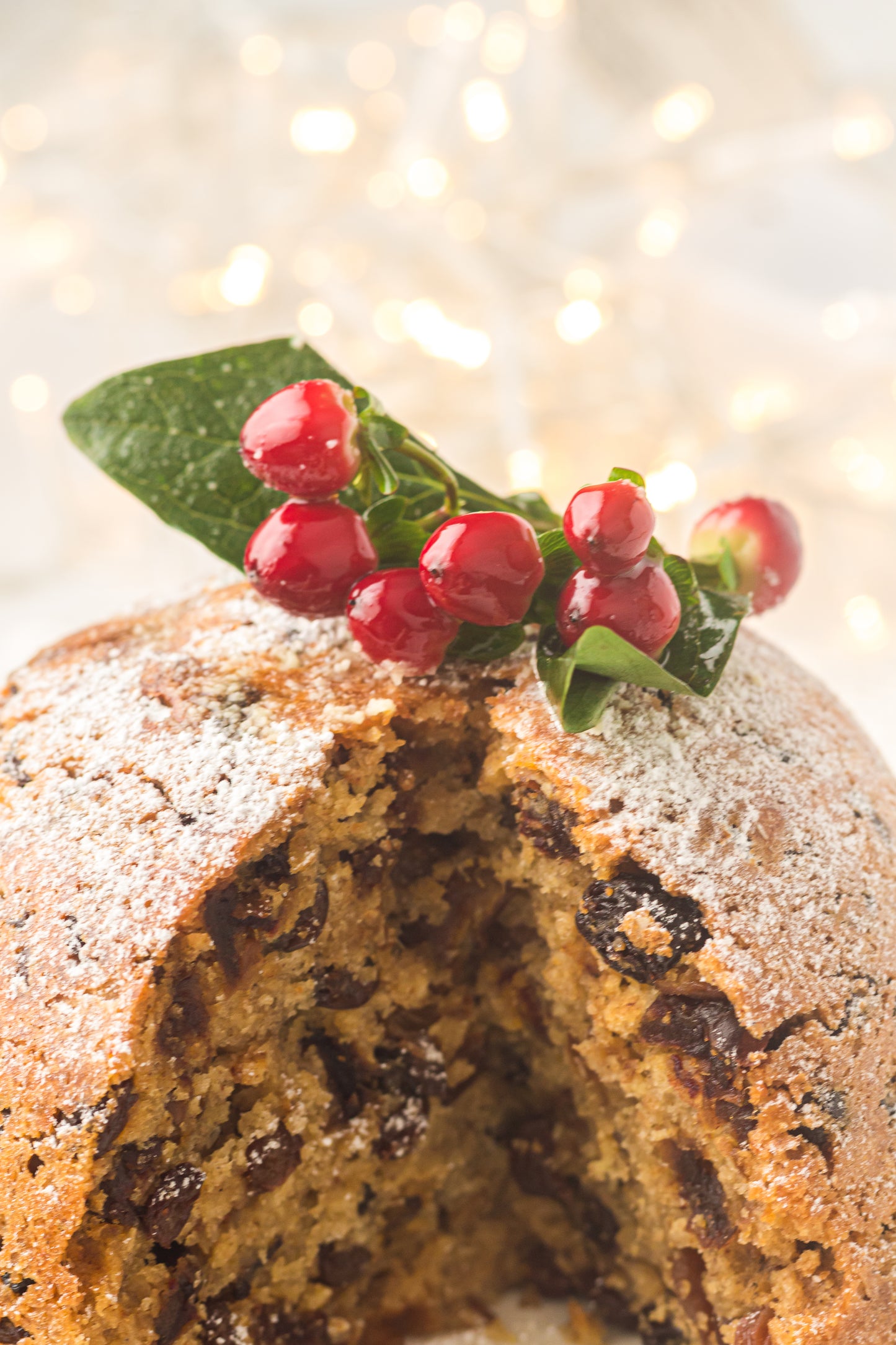 Instant Pot Figgy Pudding