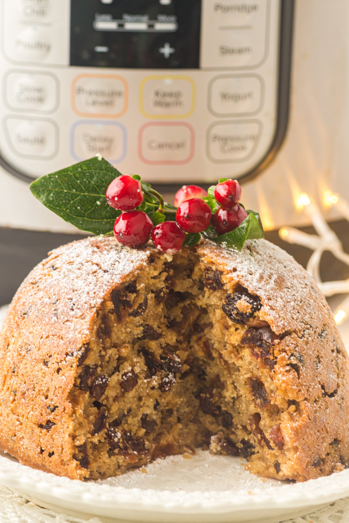 Instant Pot Figgy Pudding