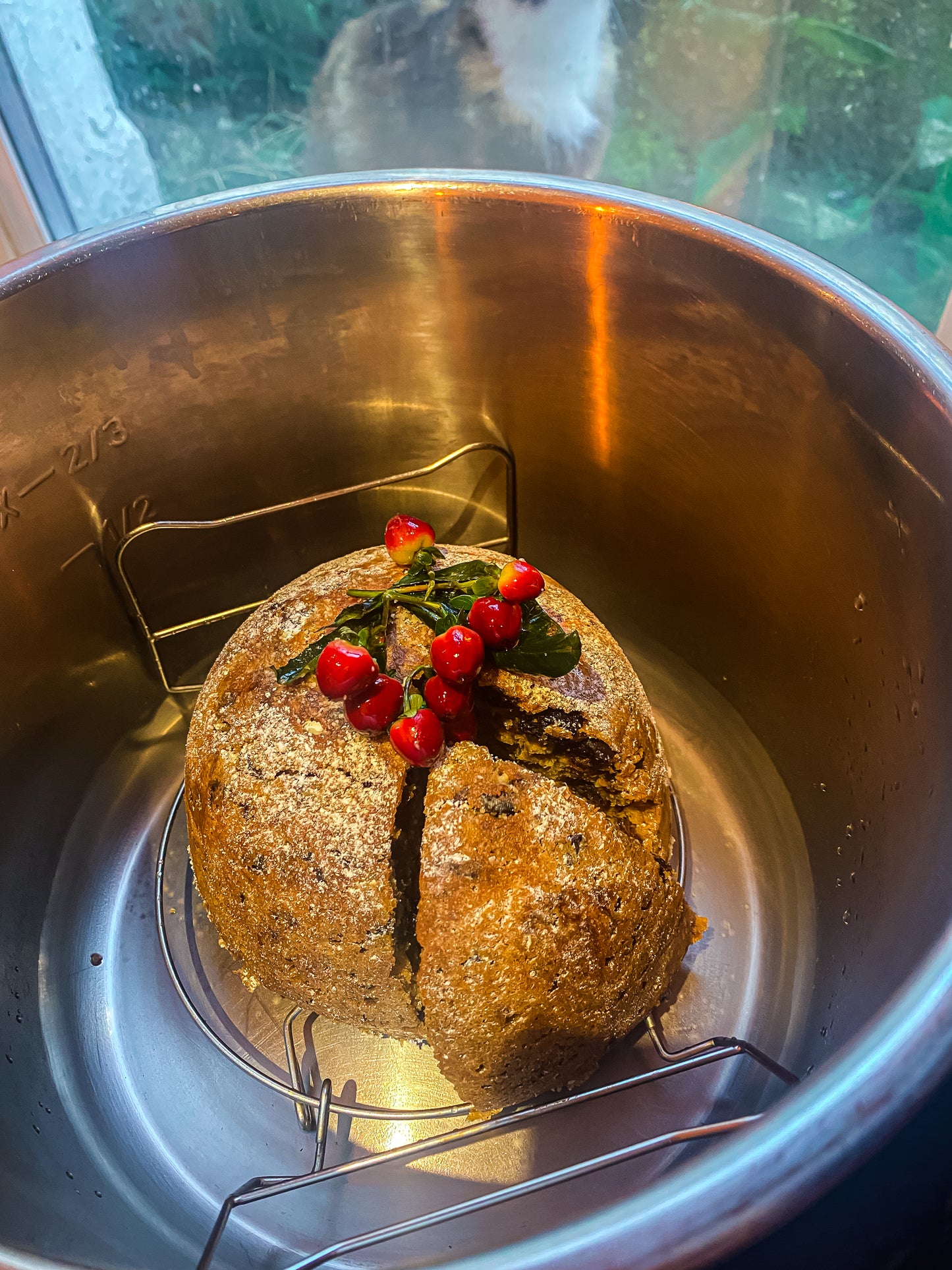 Instant Pot Figgy Pudding