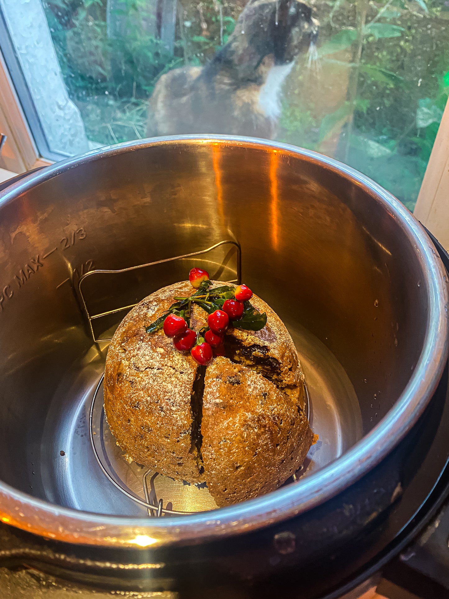 Instant Pot Figgy Pudding