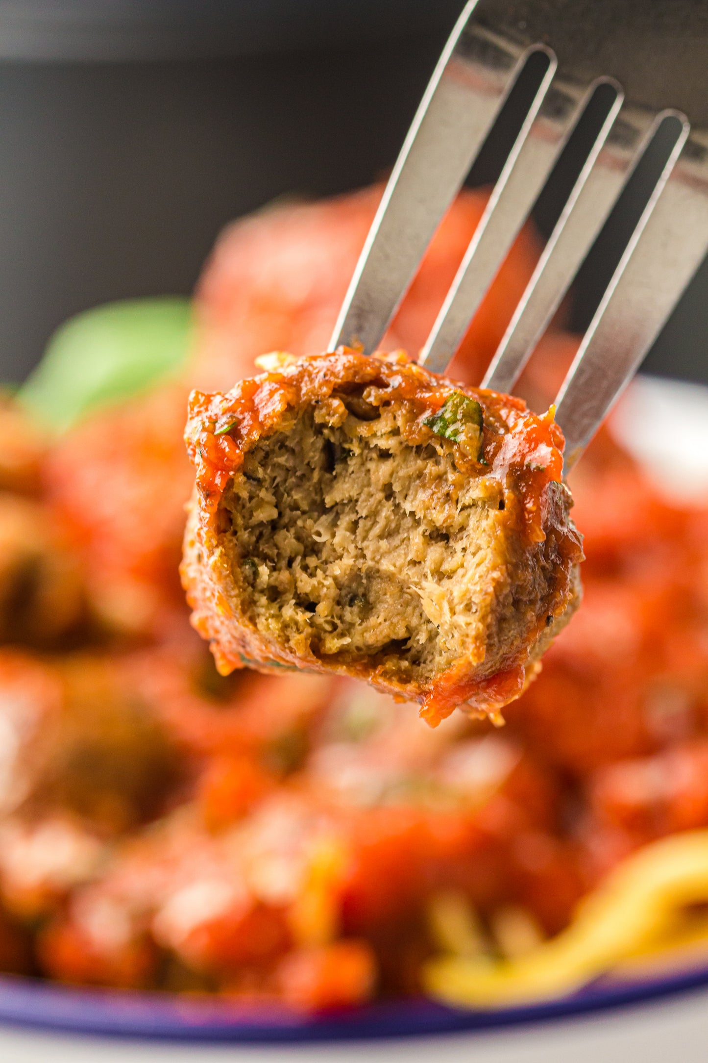 Air Fryer Meatballs - Frozen (PLR)