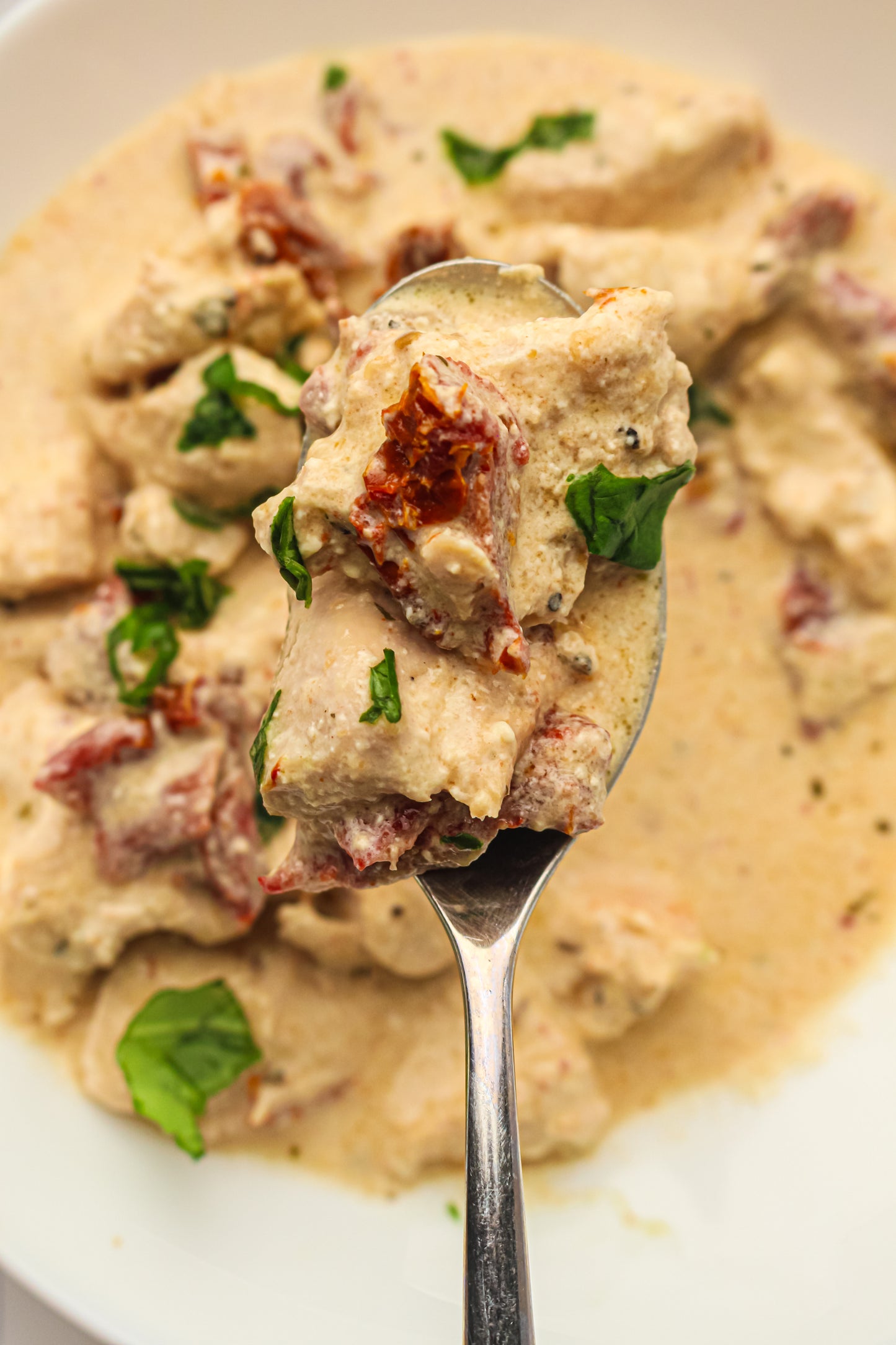 Slow Cooker Marry Me Chicken PLR Recipe Pack