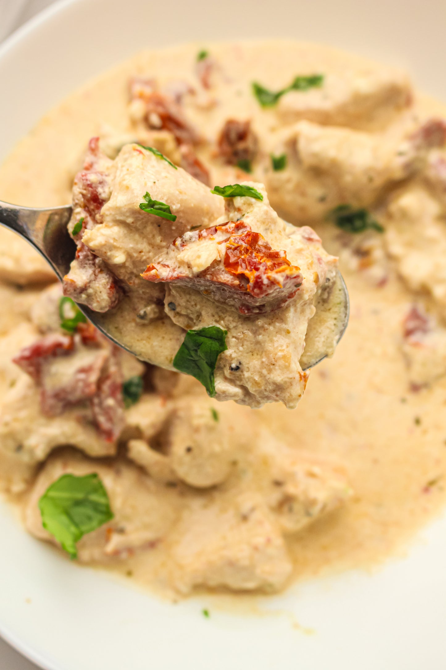 Slow Cooker Marry Me Chicken PLR Recipe Pack