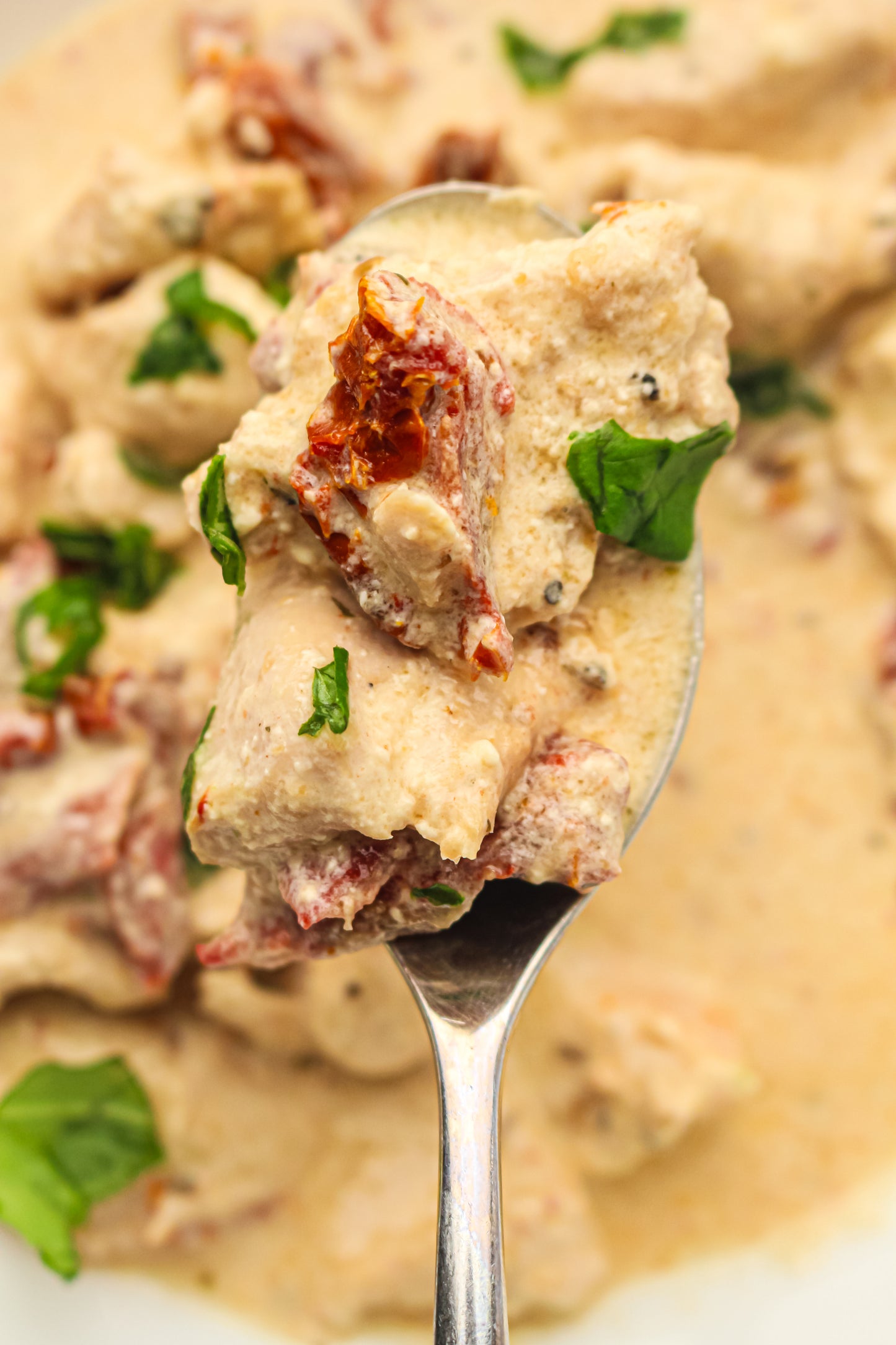 Slow Cooker Marry Me Chicken PLR Recipe Pack