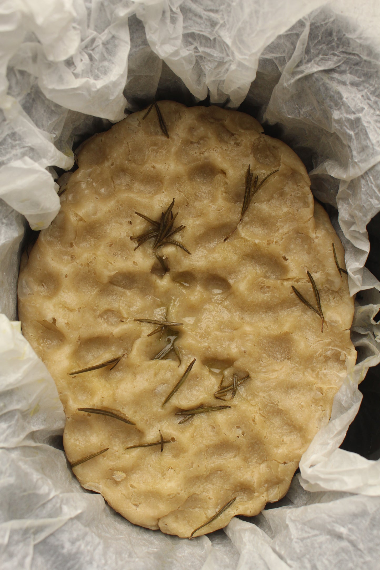Crock Pot Focaccia Bread PLR