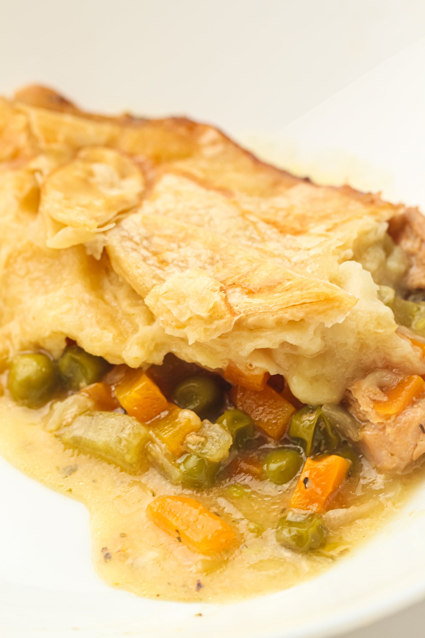 Slow Cooker Chicken Pot Pie PLR Recipe Pack