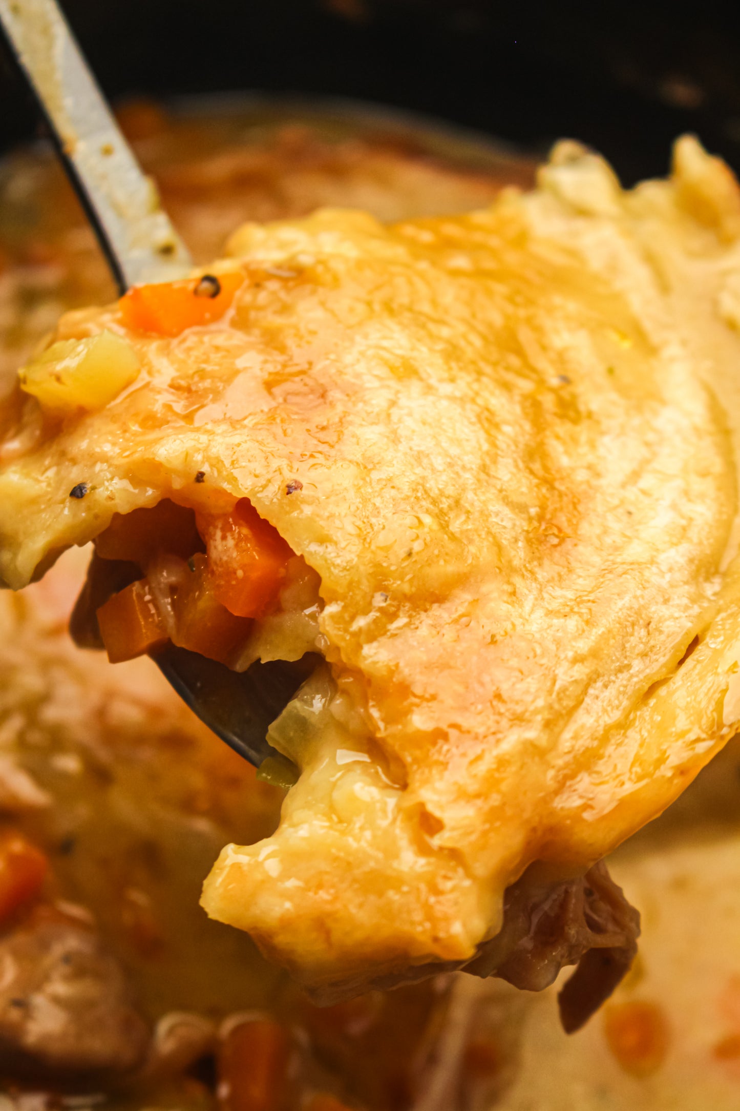 Slow Cooker Chicken Pot Pie PLR Recipe Pack