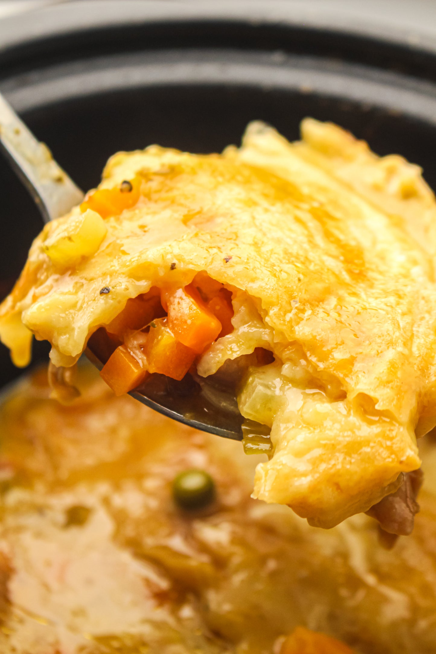 Slow Cooker Chicken Pot Pie PLR Recipe Pack