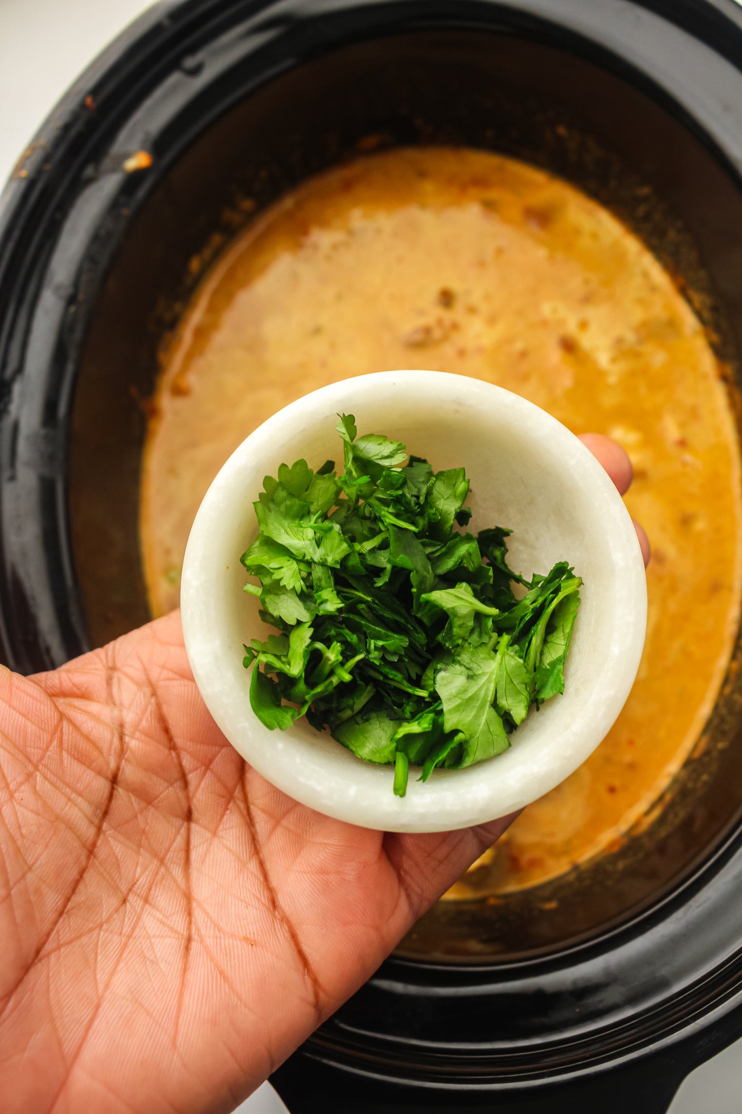 Slow Cooker Chicken Tikka Masala PLR Recipe Pack