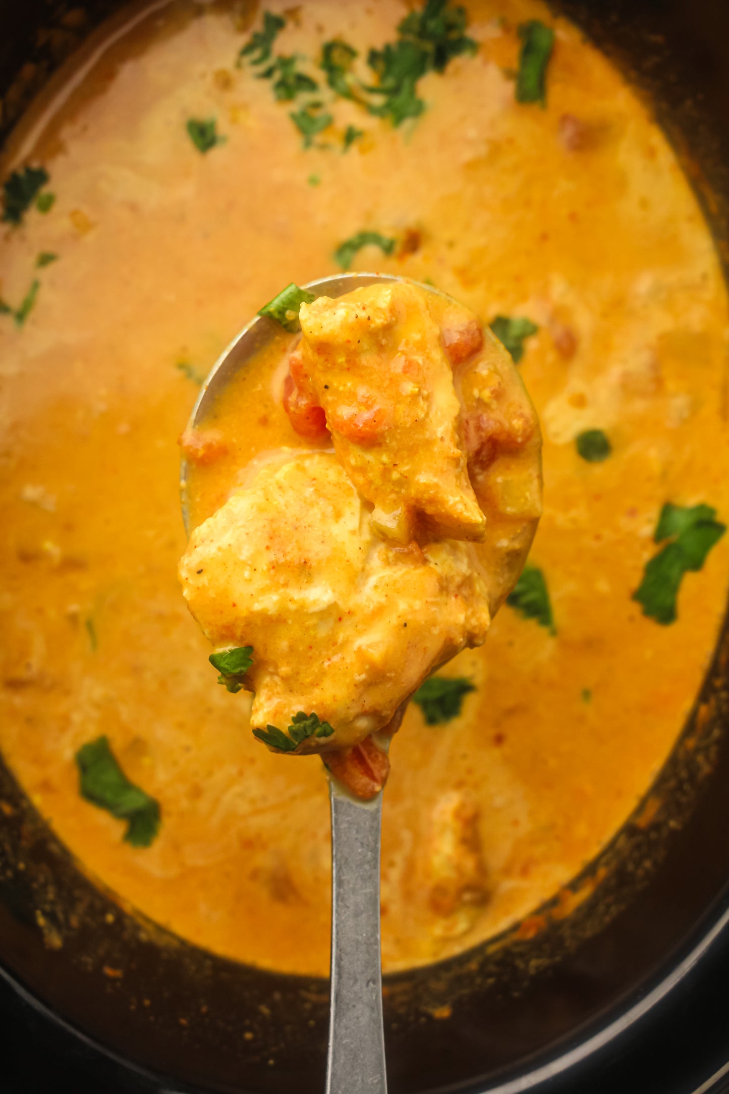 Slow Cooker Chicken Tikka Masala PLR Recipe Pack