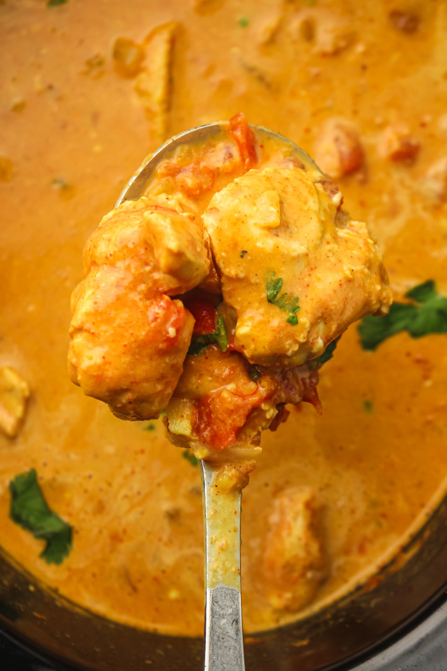 Slow Cooker Chicken Tikka Masala PLR Recipe Pack