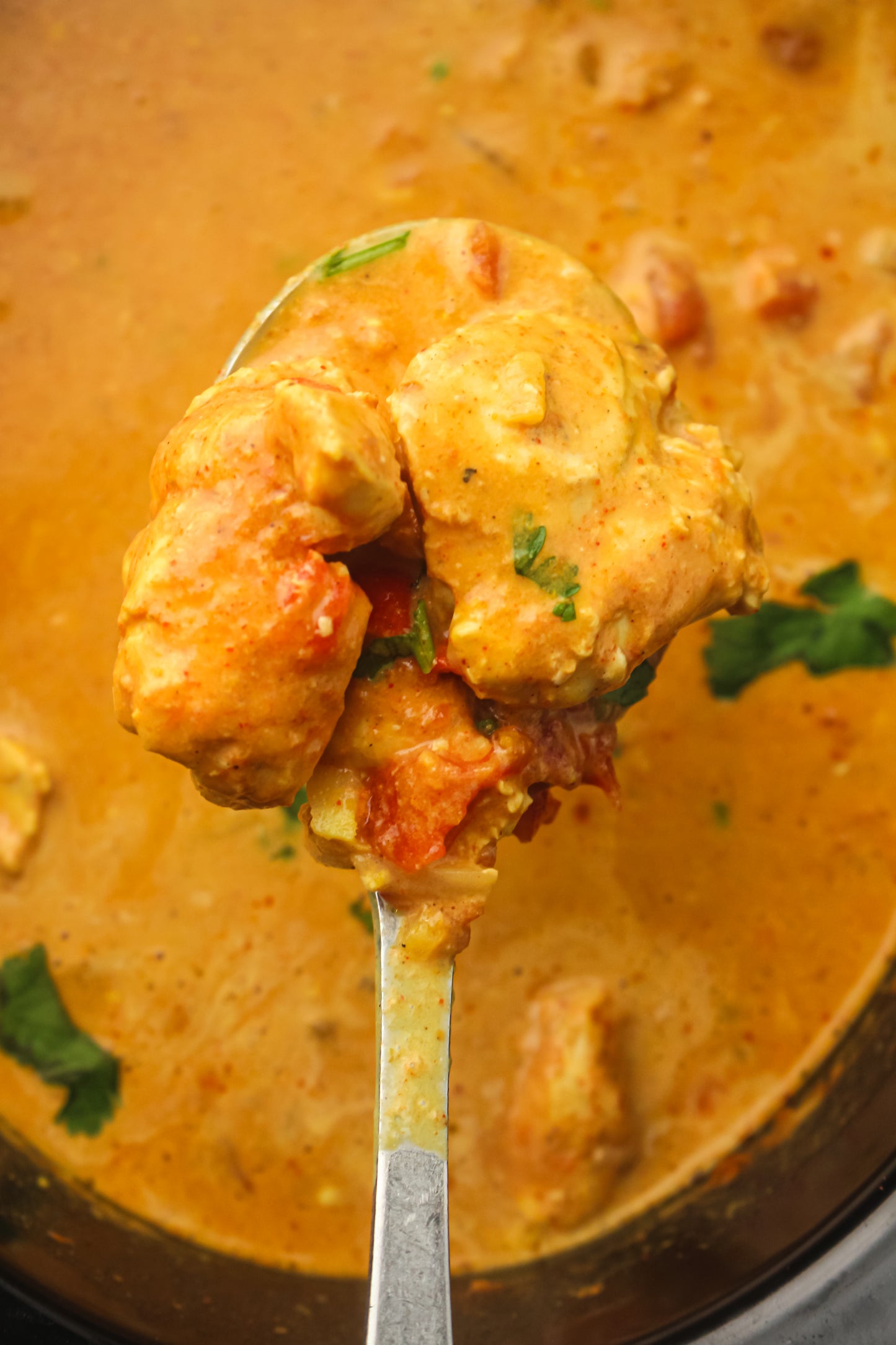 Slow Cooker Chicken Tikka Masala PLR Recipe Pack