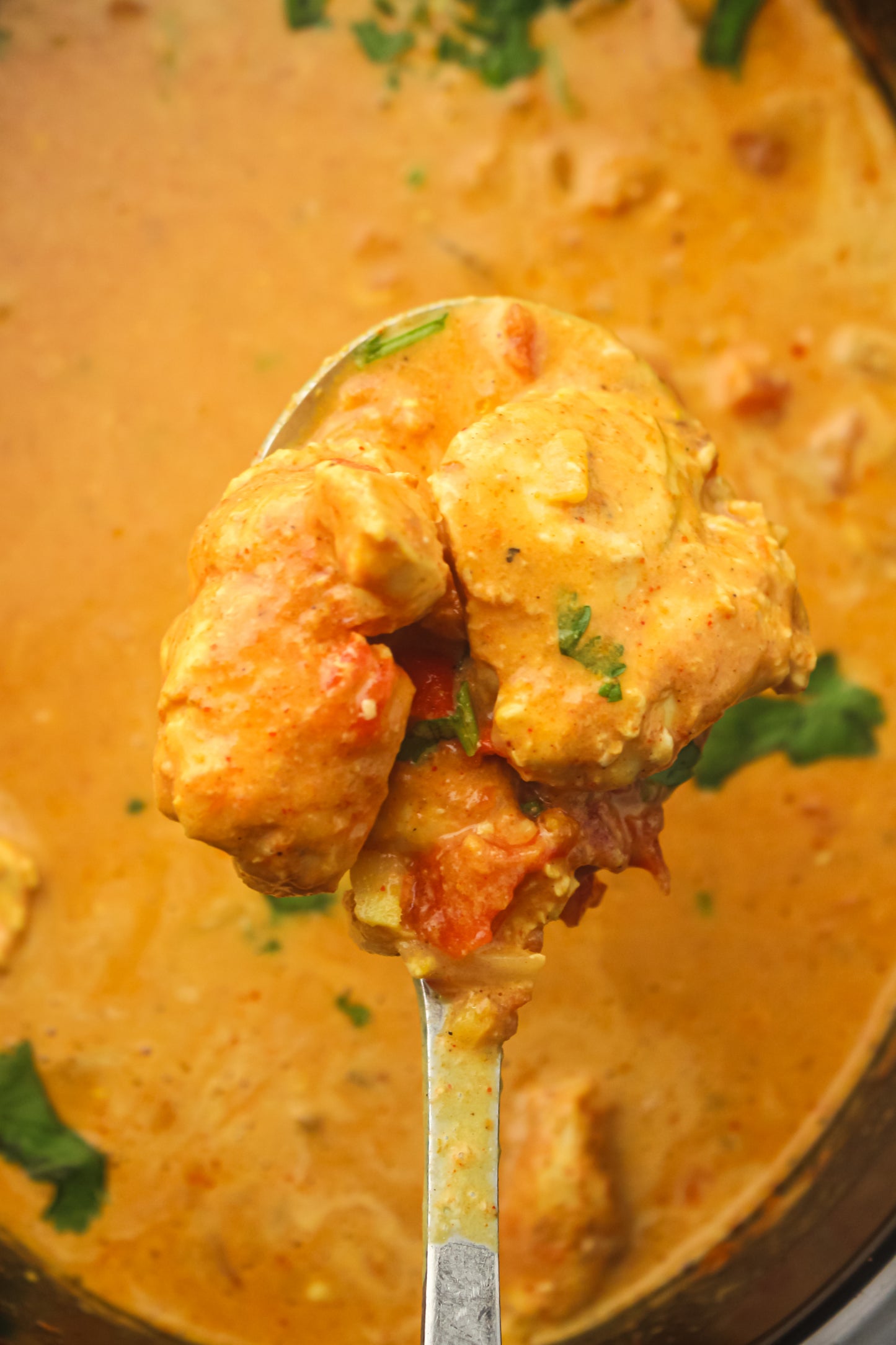 Slow Cooker Chicken Tikka Masala PLR Recipe Pack