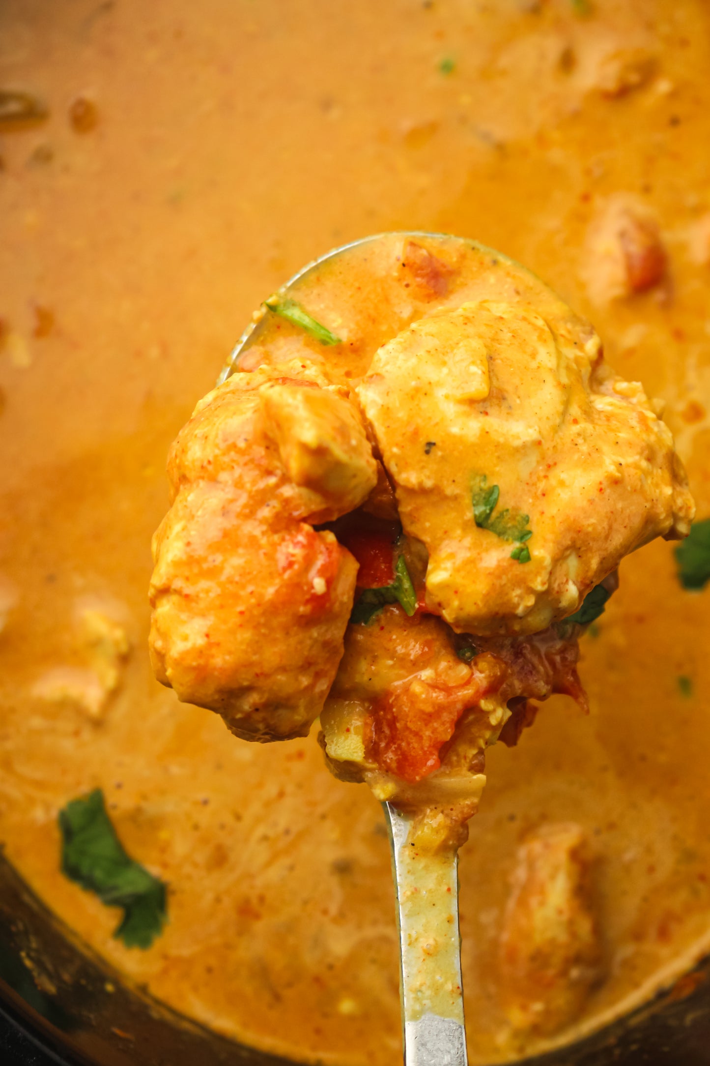 Slow Cooker Chicken Tikka Masala PLR Recipe Pack