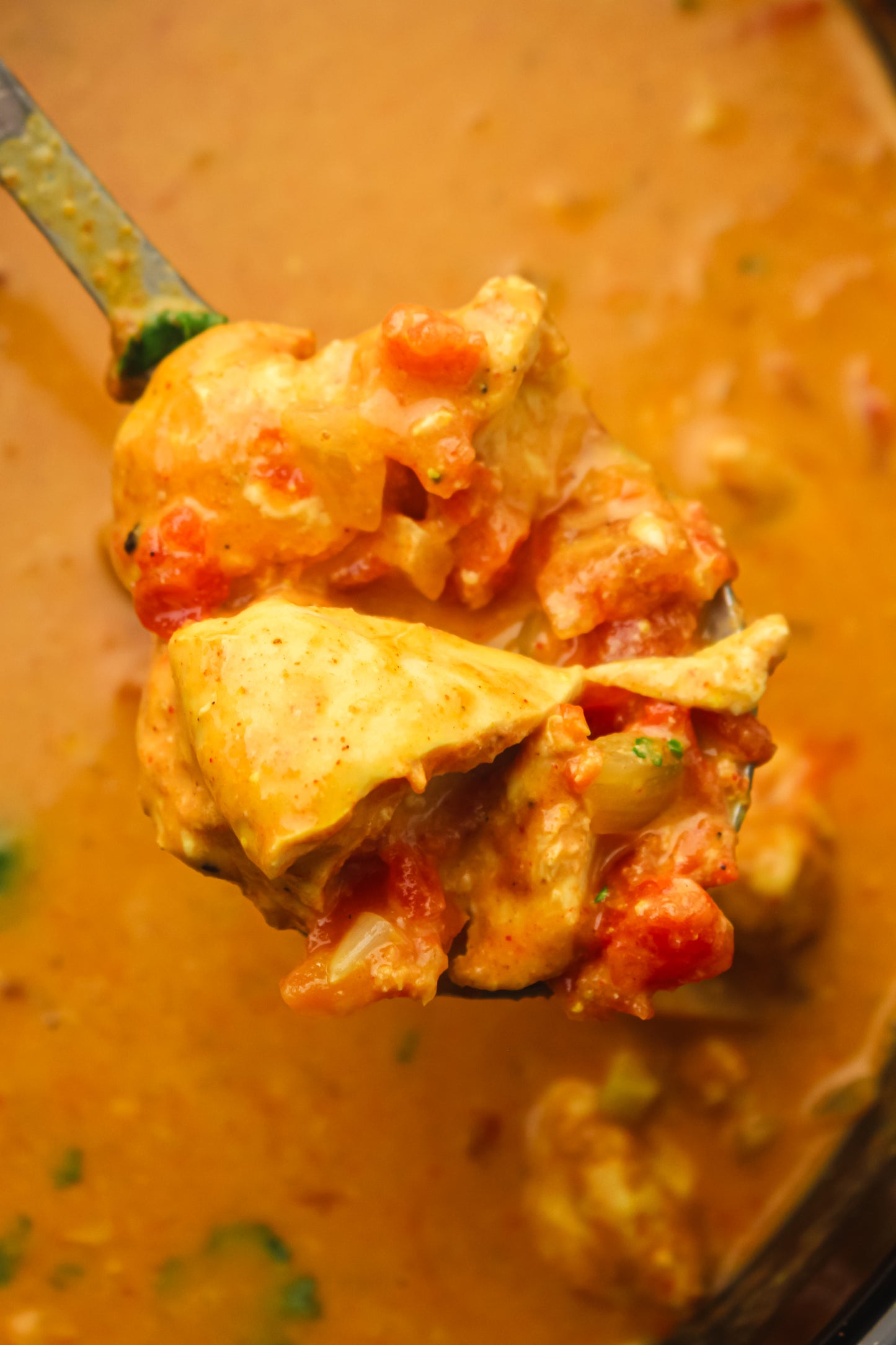 Slow Cooker Chicken Tikka Masala PLR Recipe Pack