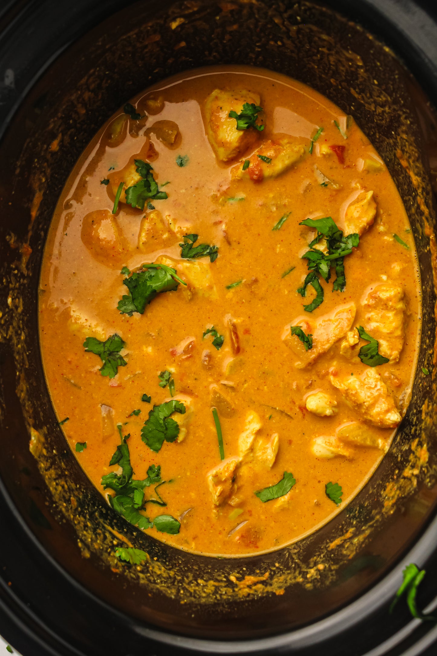 Slow Cooker Chicken Tikka Masala PLR Recipe Pack
