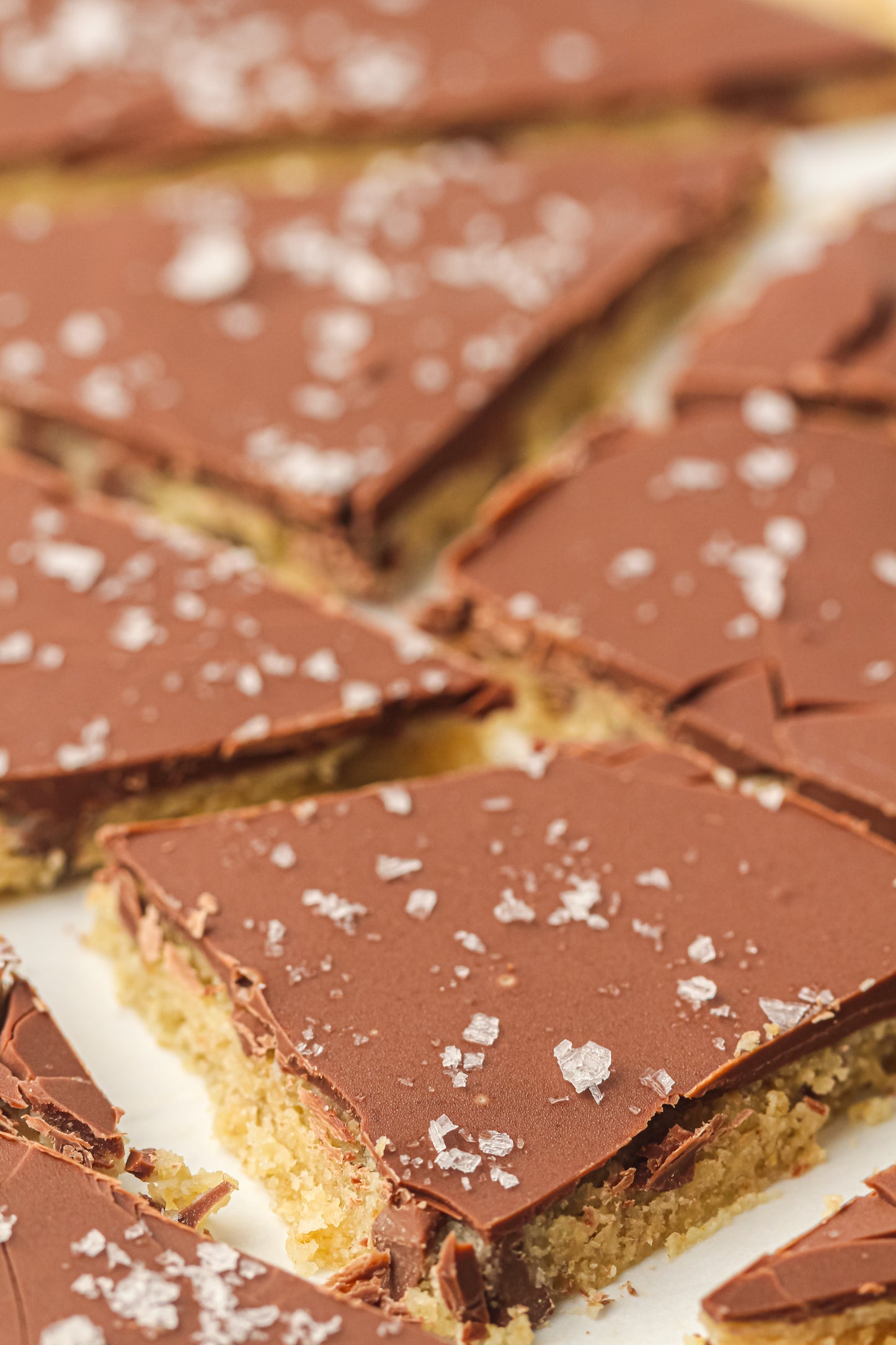 Healthy Cookie Dough Bark PLR Recipe Pack