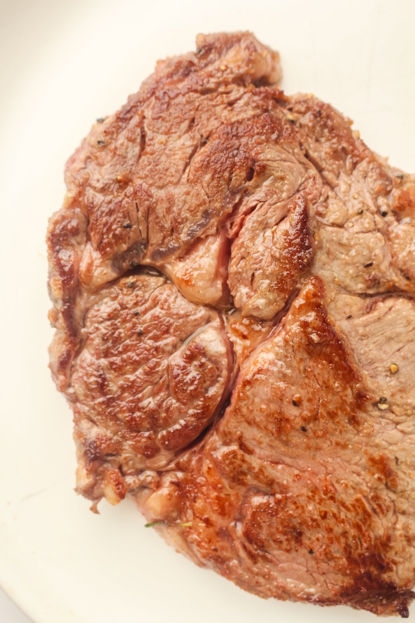 PLR Blackstone Ribeye Steaks