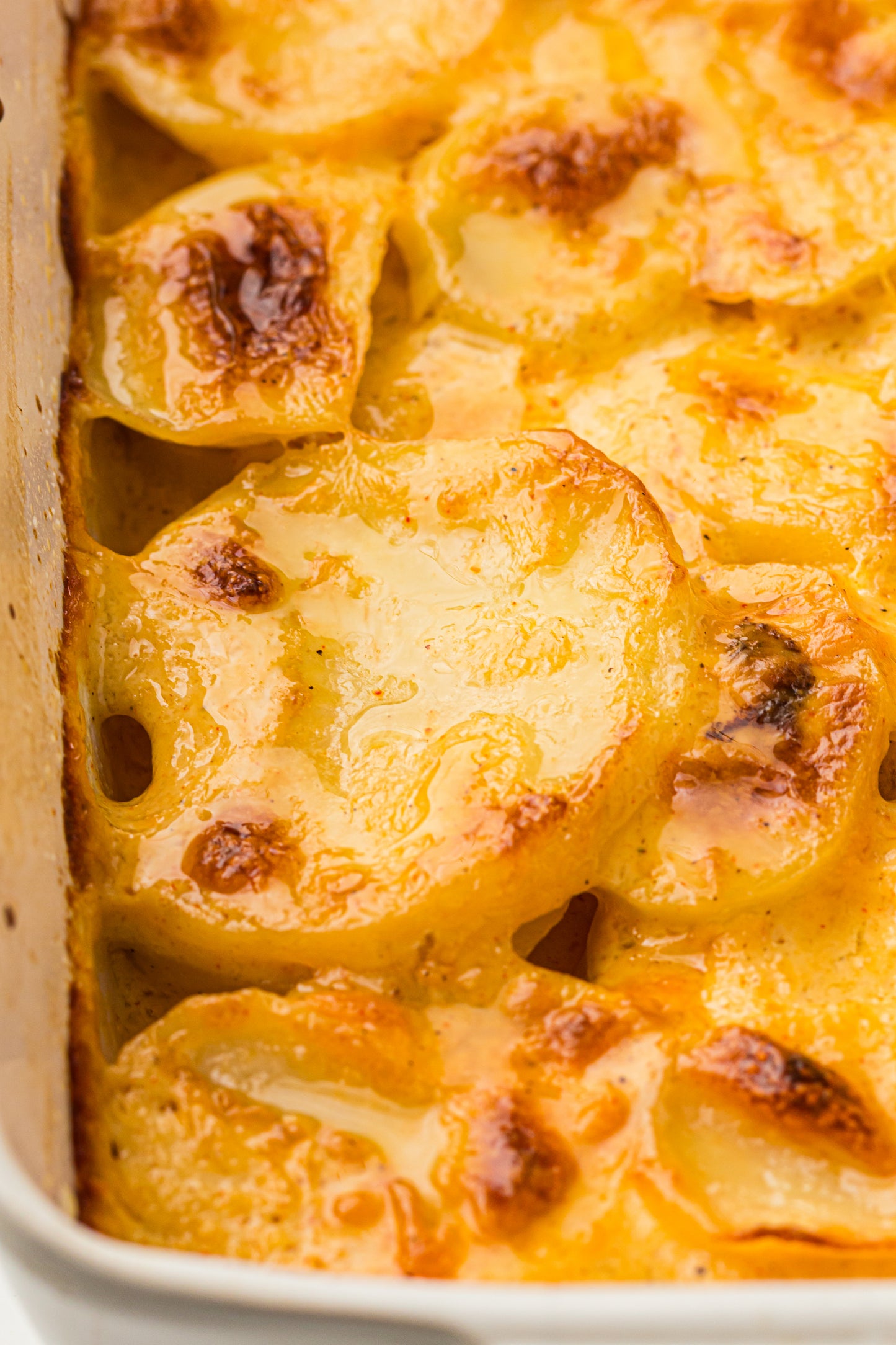 Creamy Scallop Potatoes