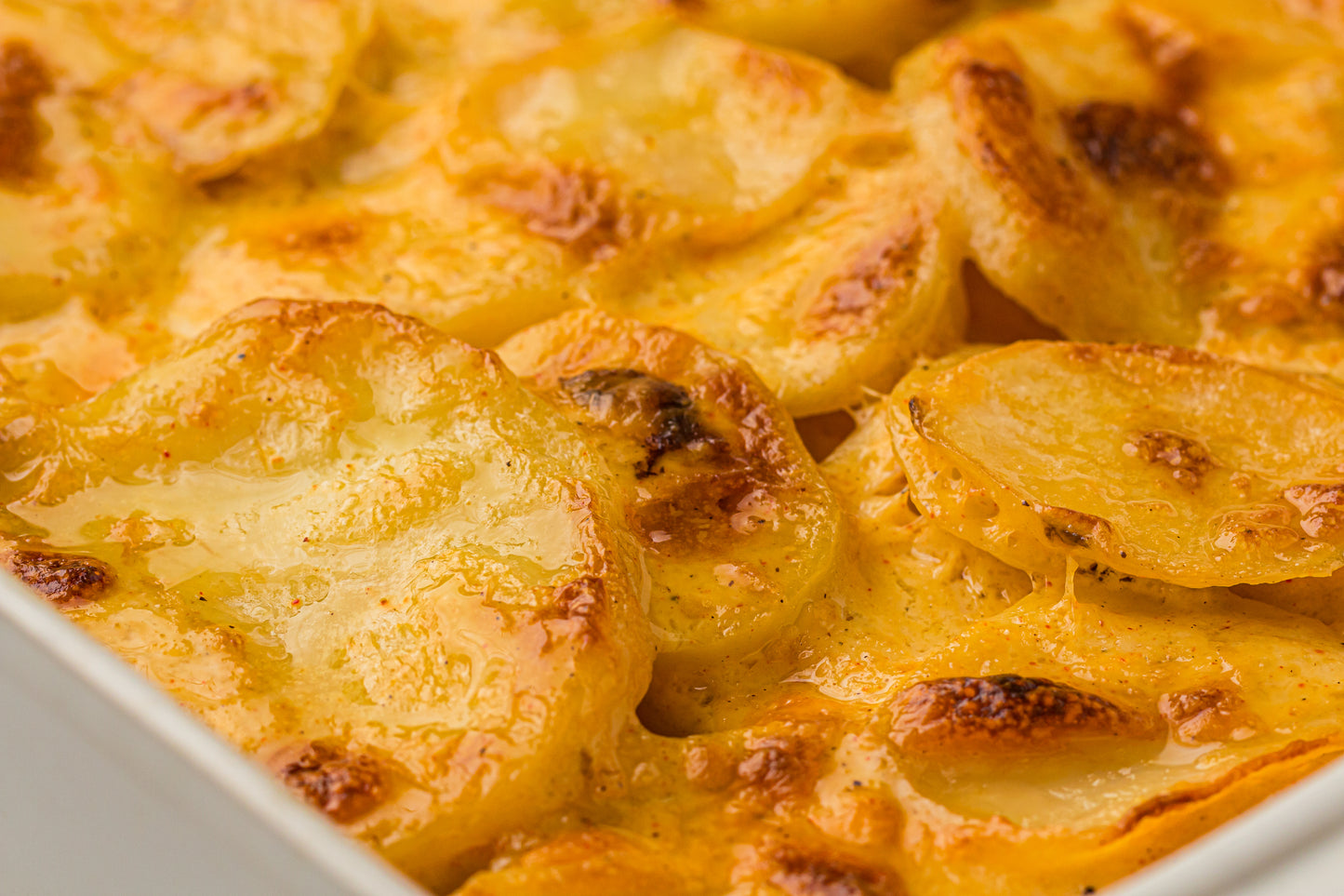 Creamy Scallop Potatoes