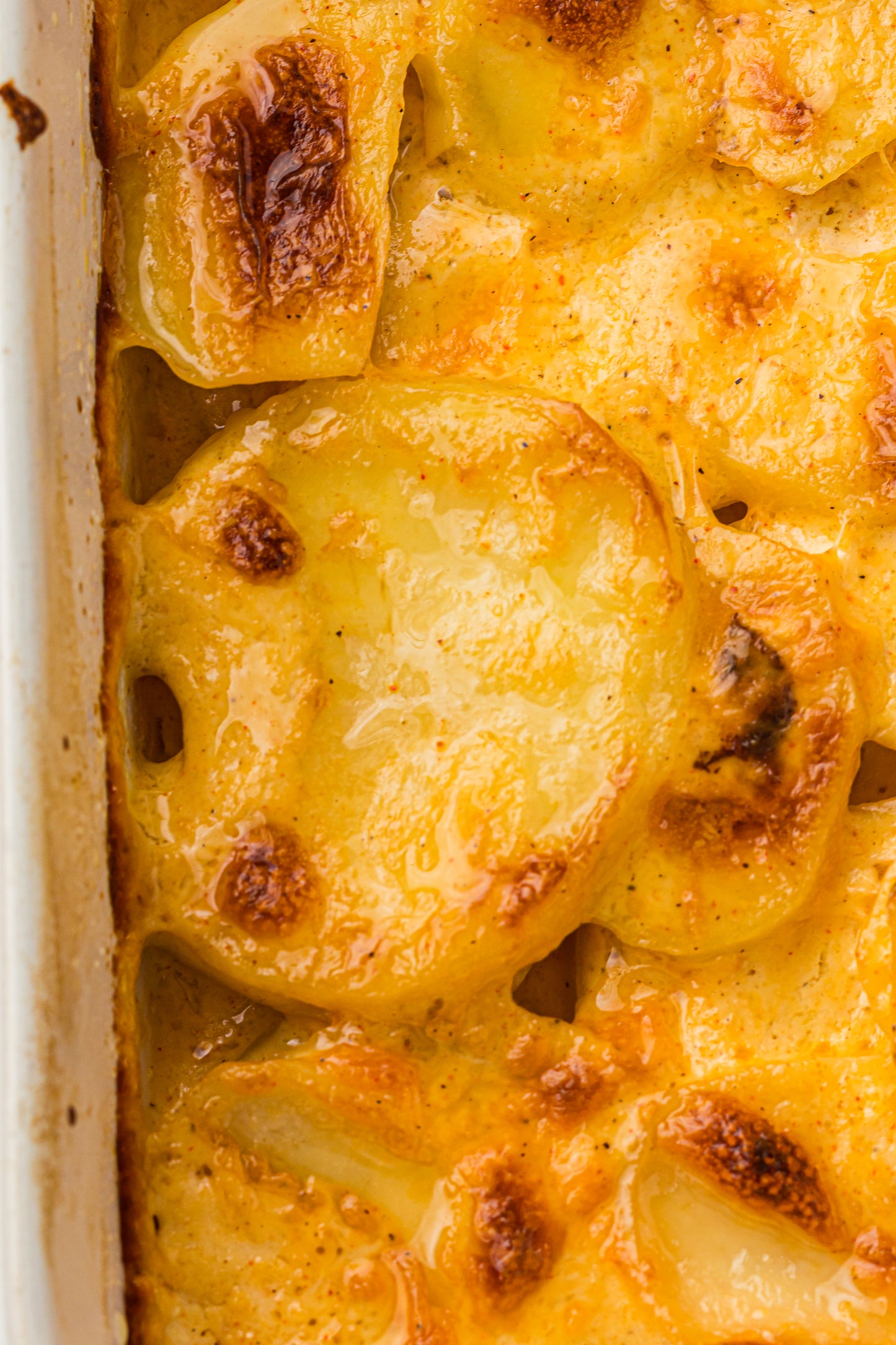 Creamy Scallop Potatoes